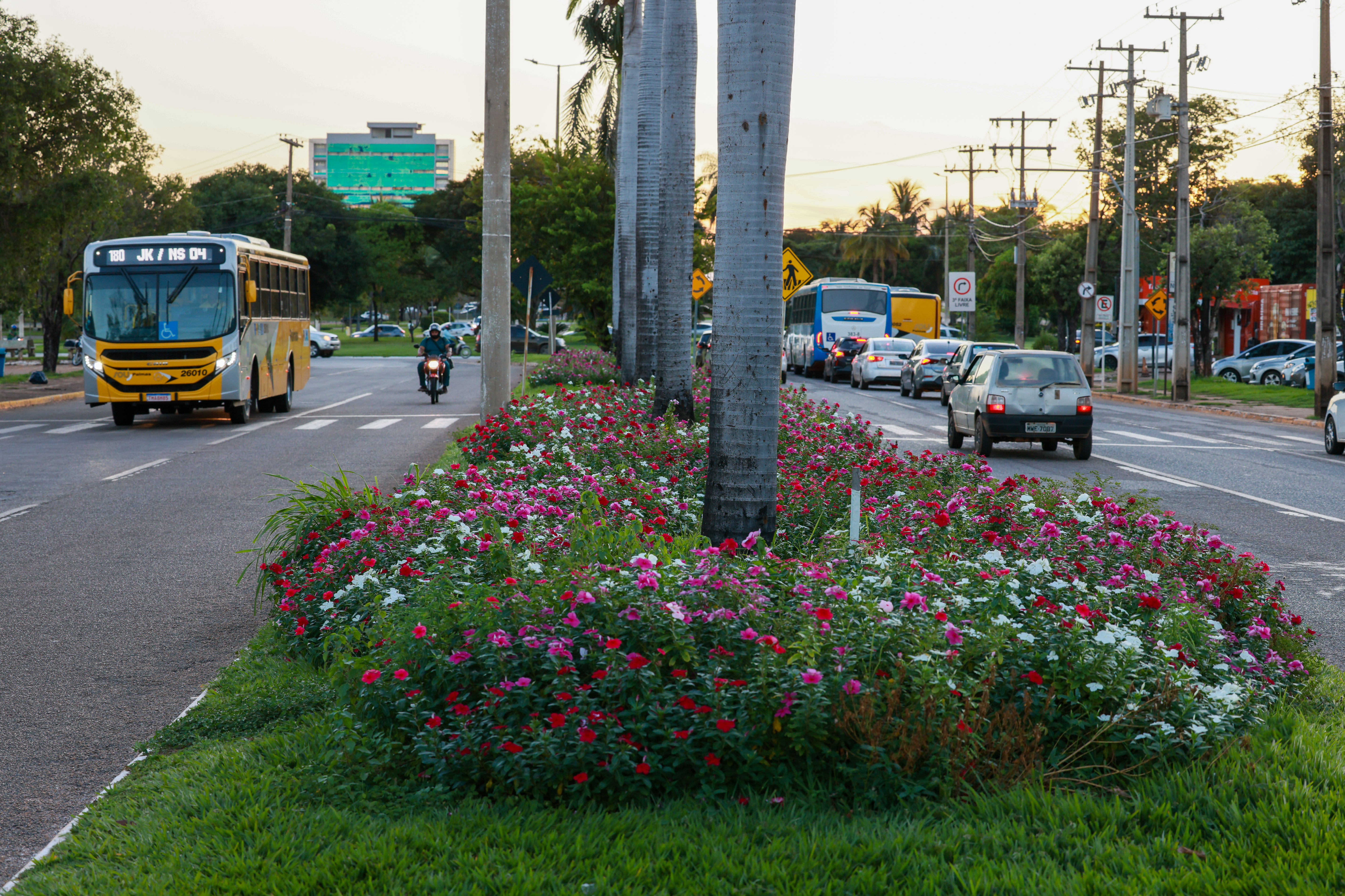 Canteiro da Av.Jk - Foto Lia Mara (5)