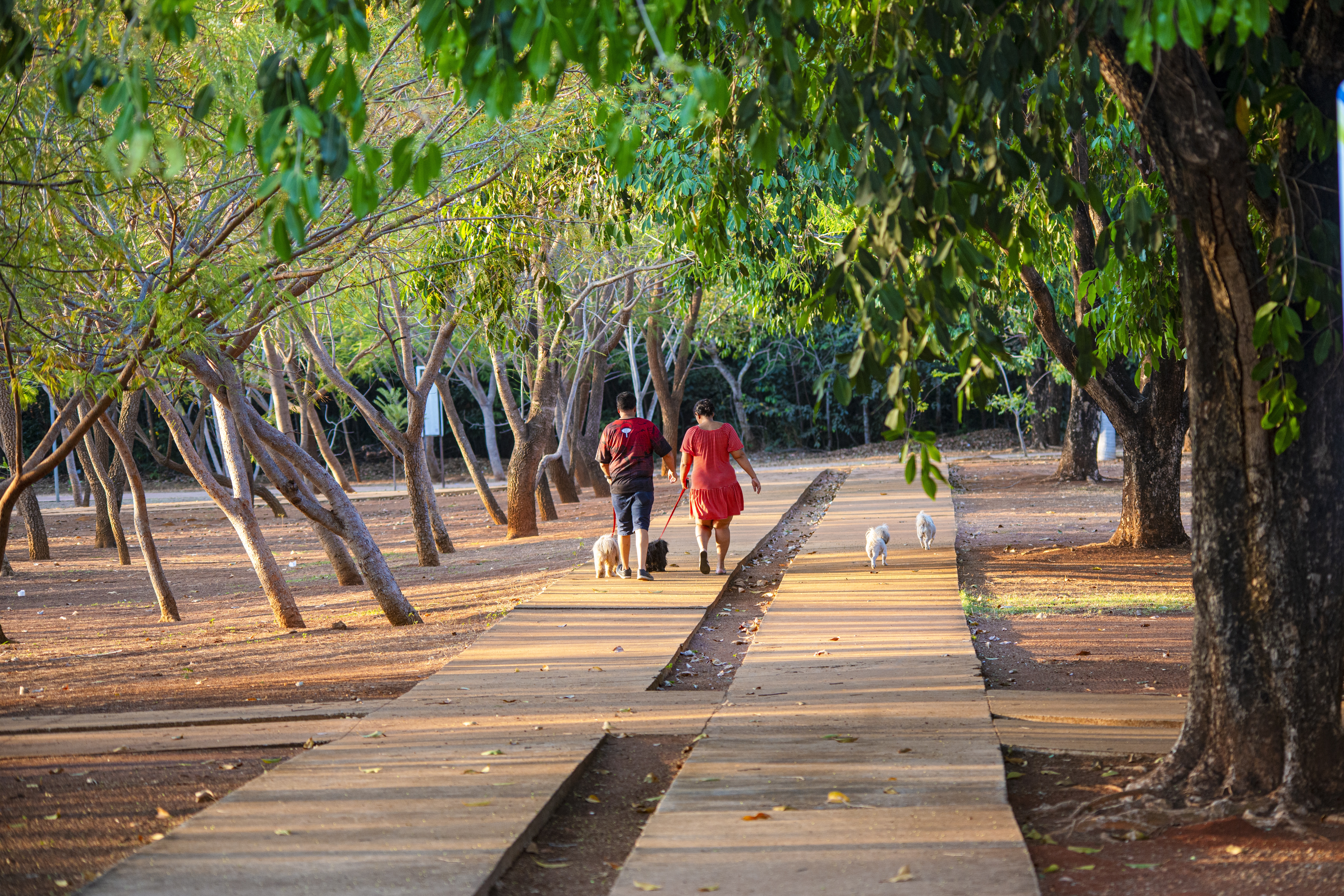 Parque dos Povos Indígenas  - Regiane Rocha21