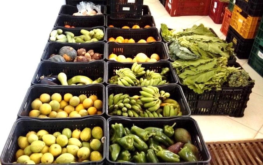 Prefeitura de Palmas abre inscrições a entidades aptas ao recebimento de alimentos para doação a populações vulneráveis