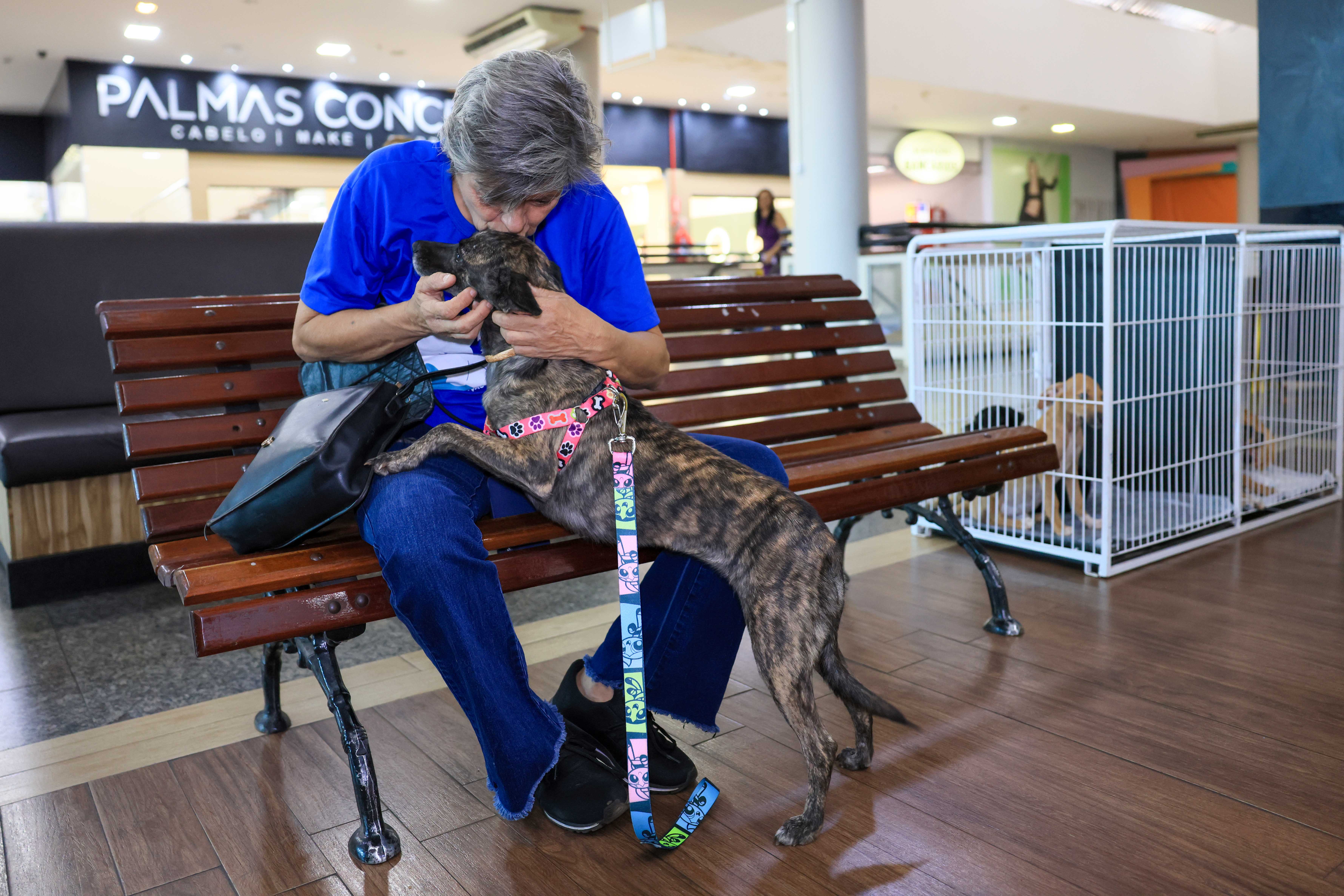 Nova lei amplia a conscientização sobre maus-tratos e abandono de animais