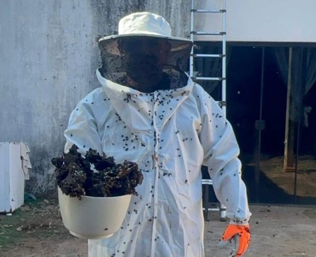  Enxame de abelhas estava alojado numa residência na zona rural de Palmas