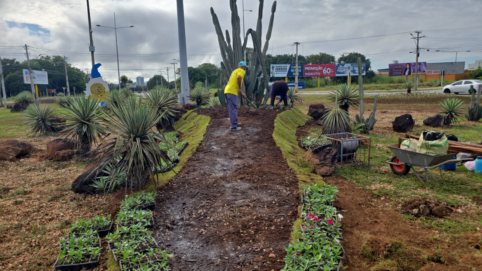 Plantio e paisagismo na rotatória da Avenida JK