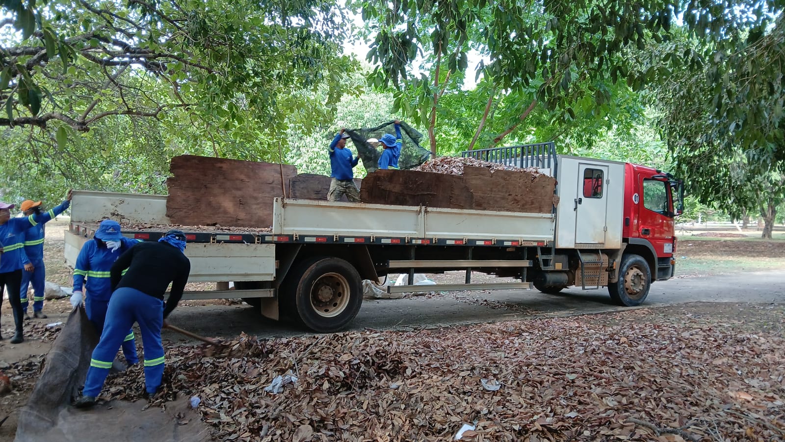 Grande quantidade de folhas recolhidas na quadra Arse 14 (110 Sul)