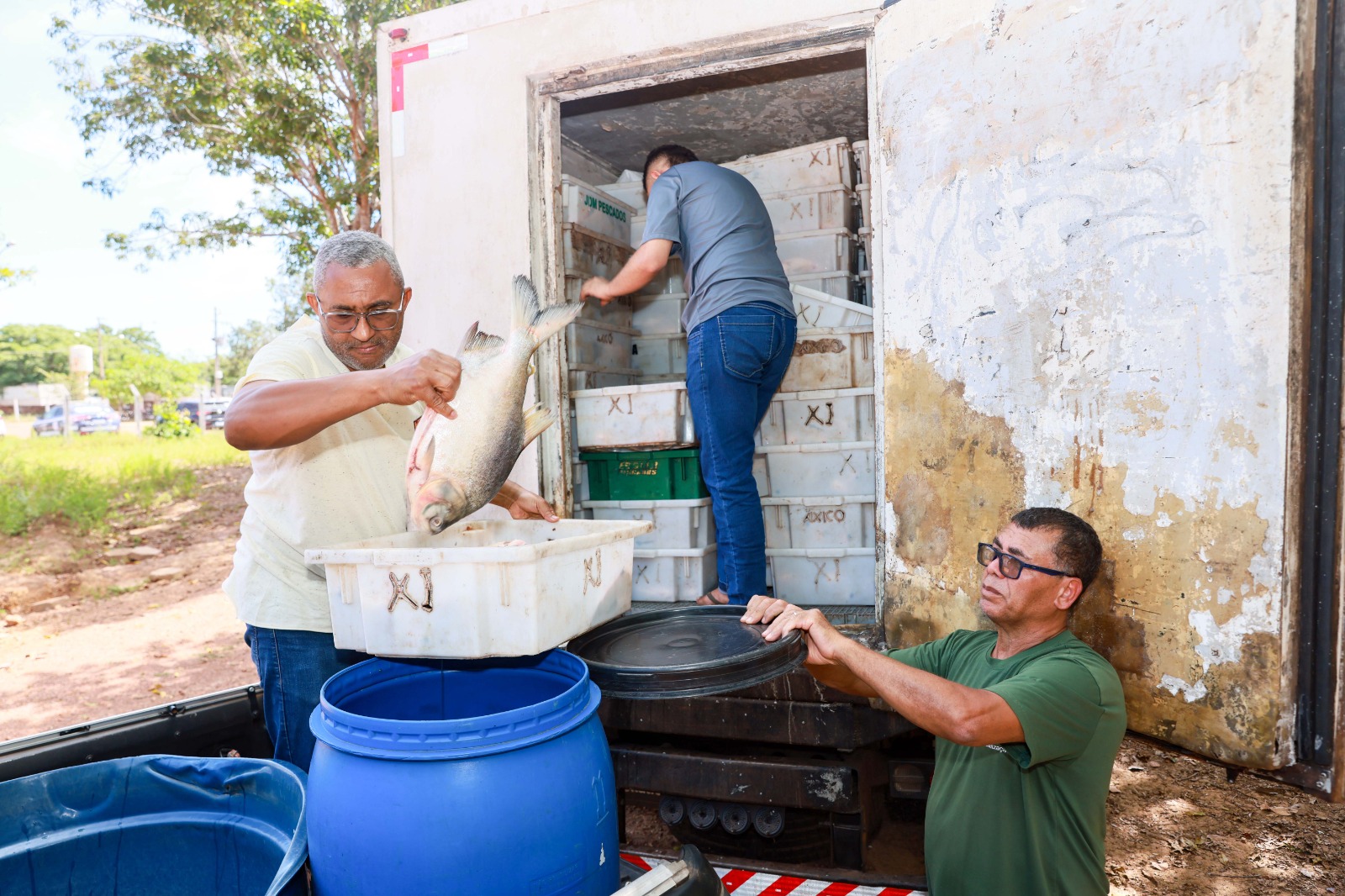Guarda Metropolitana Ambiental de Palmas apreende aproximadamente cinco toneladas de pescado