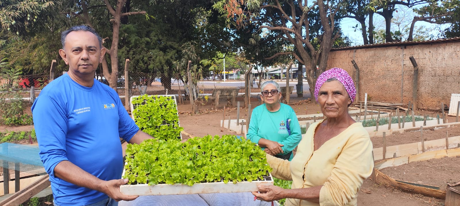 Engenheiro agrônomo responsável pelo Programa Hortas Comunitárias faz entrega de bandeja com mil mudas de alface às produtoras Inês Pereira Moura e Maria de Fátima Pereira Silva da Arno 31