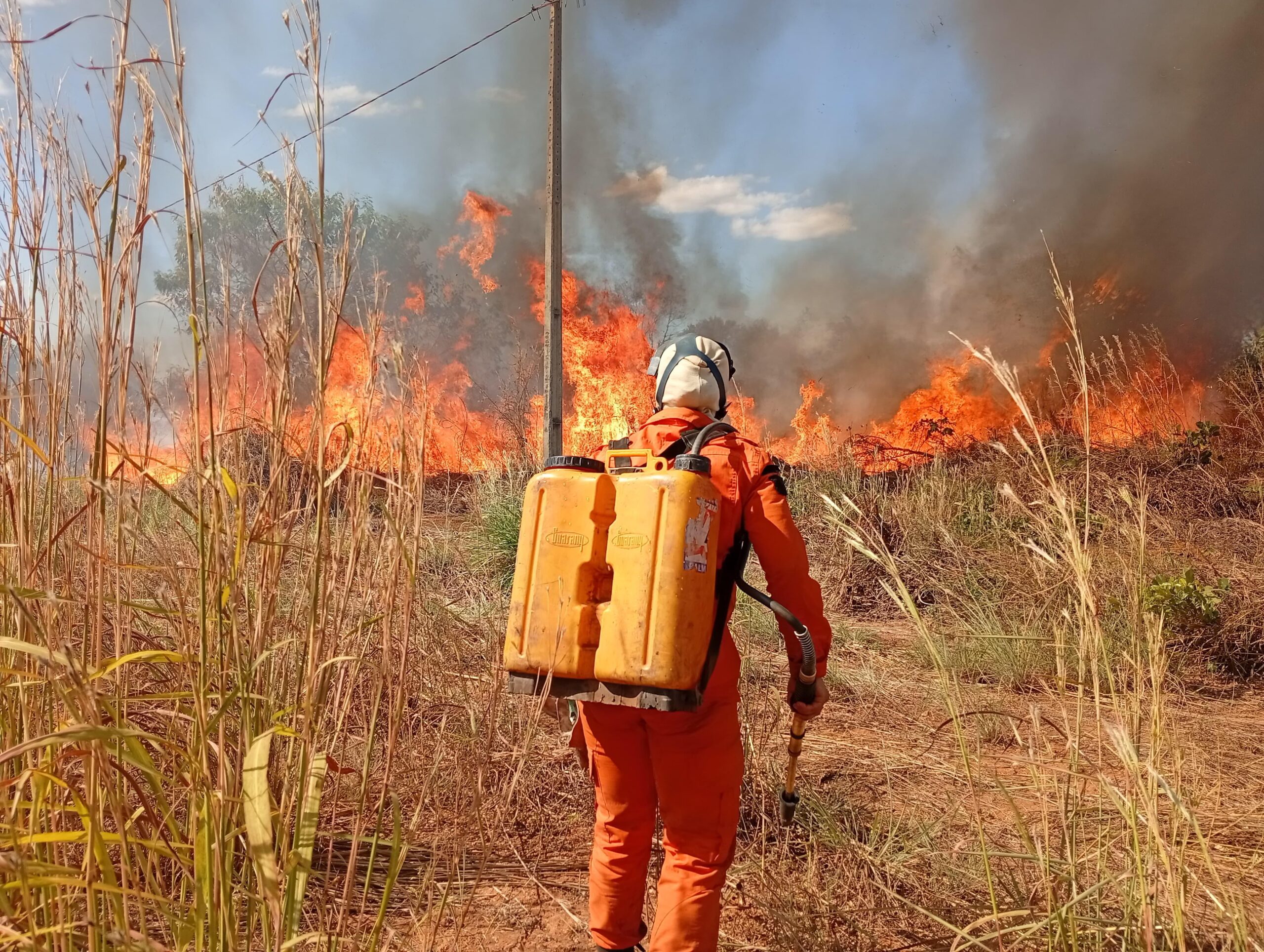 Defesa Civil de Palmas atua em mais de 100 focos de incêndio em julho