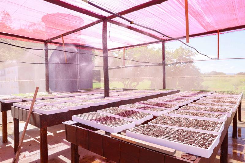 Cultivo protegido de hortaliças com economia de água é a novidade da Fazendinha do Calor Humano