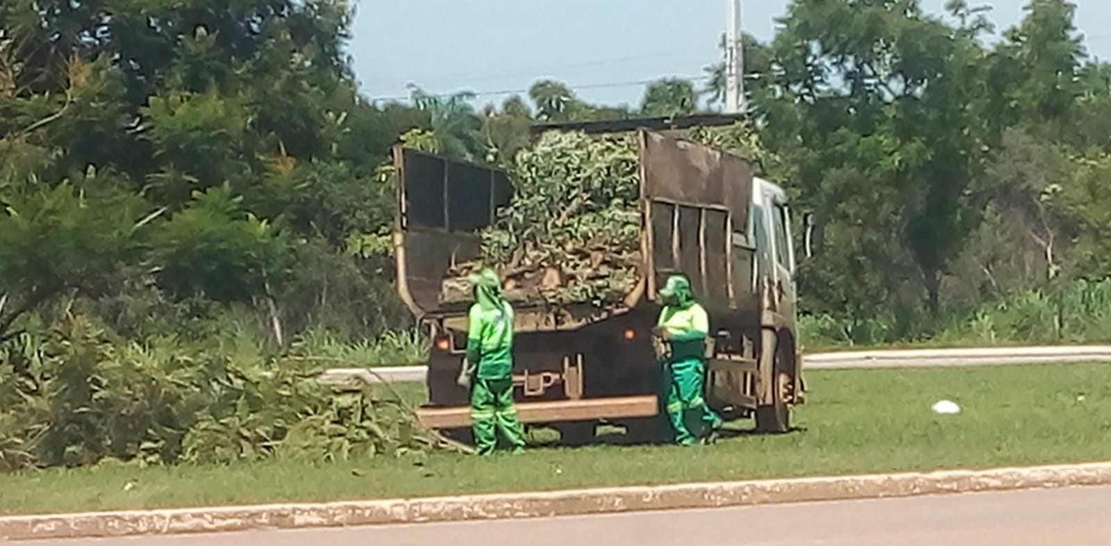 Prefeitura de Palmas aumenta em 53% coleta de galhadas em janeiro de 2025