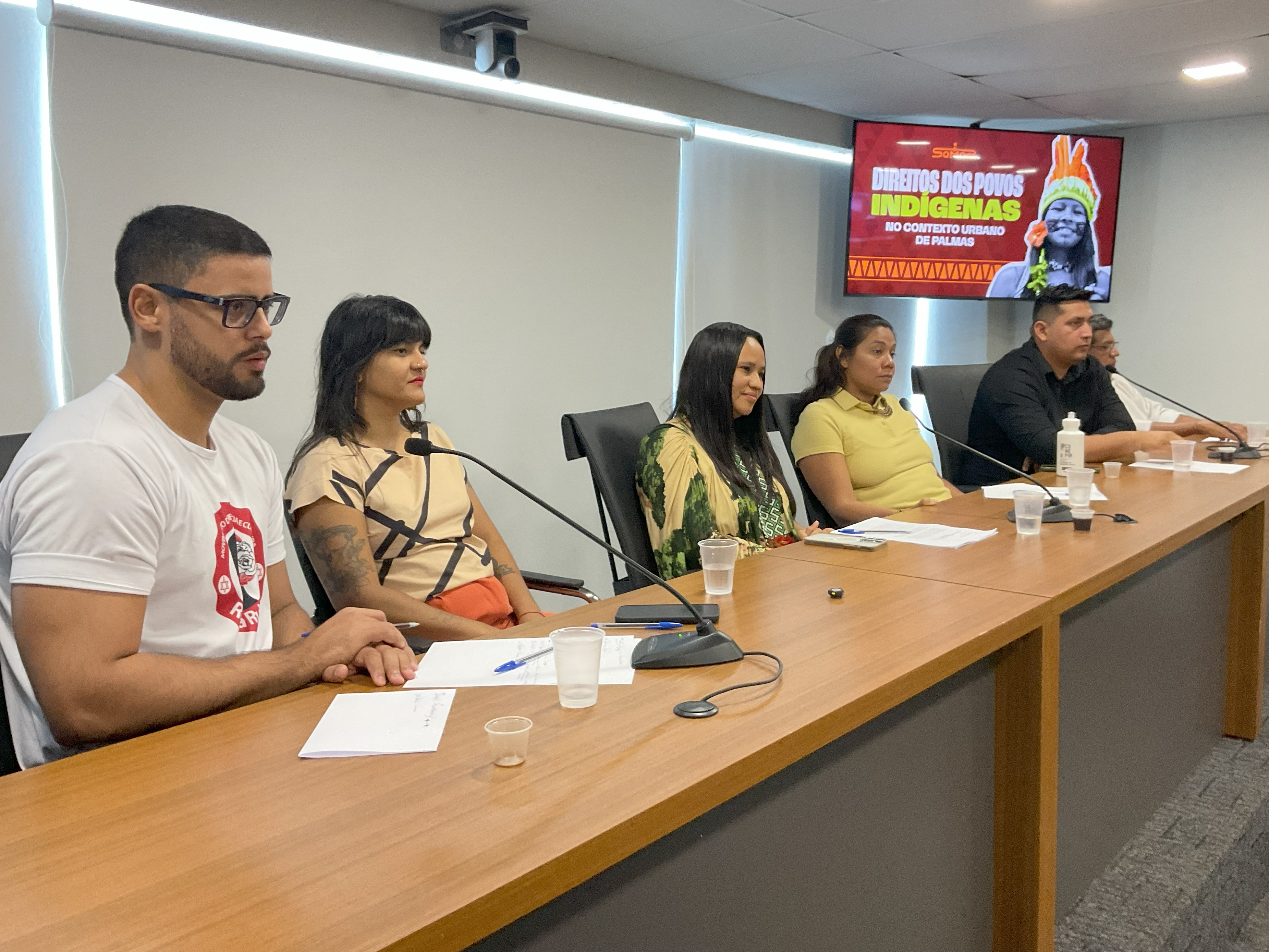 A mesa foi composta, ainda, por Narubia Silva Werreria, secretária de Estado do Povos Originários e Tradicionais (SEPOT); Willian Sirnapte Xerente, técnico administrativo na SEPOT; Kohalue Karaja - Coordenador Técnico Local da Fundação Nacional do Índio; além da já citada vice-presidente do Compir, Vanessa Xerente; a co-vereadora Luciely Oliveira; e o secretário da Seirdh, José Eduardo de Azevedo.