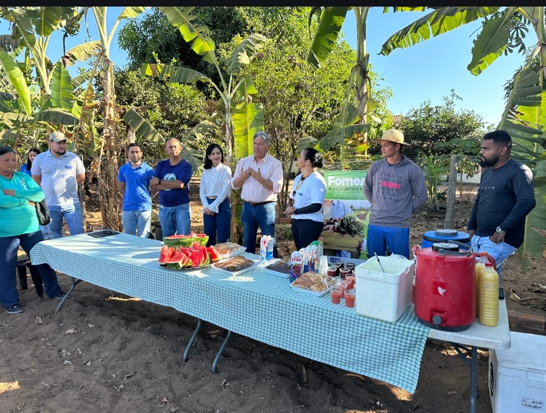 Prefeitura de Palmas realiza oficina para produtores de hortas comunitárias