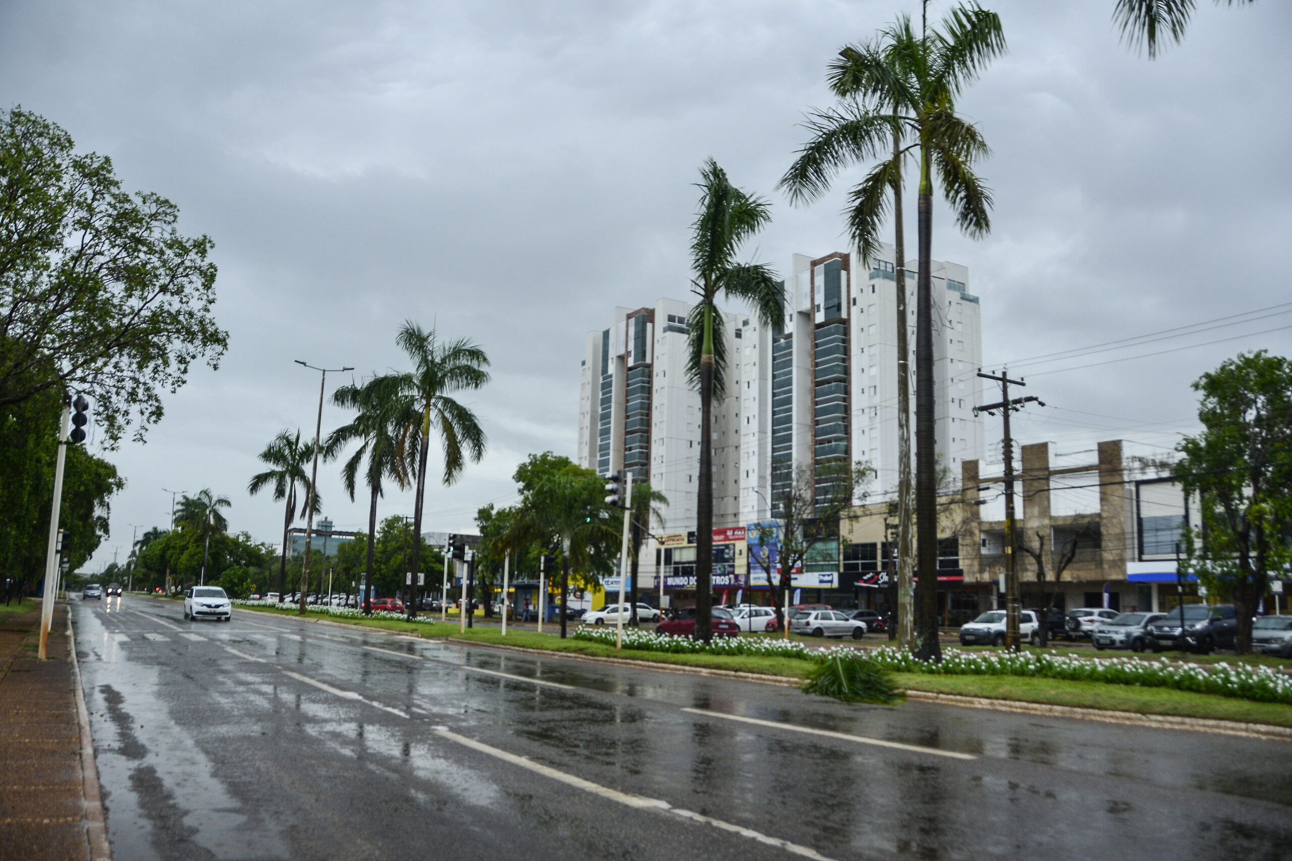 Defesa Civil da Prefeitura de Palmas alerta para cuidados com semana chuvosa na Capital