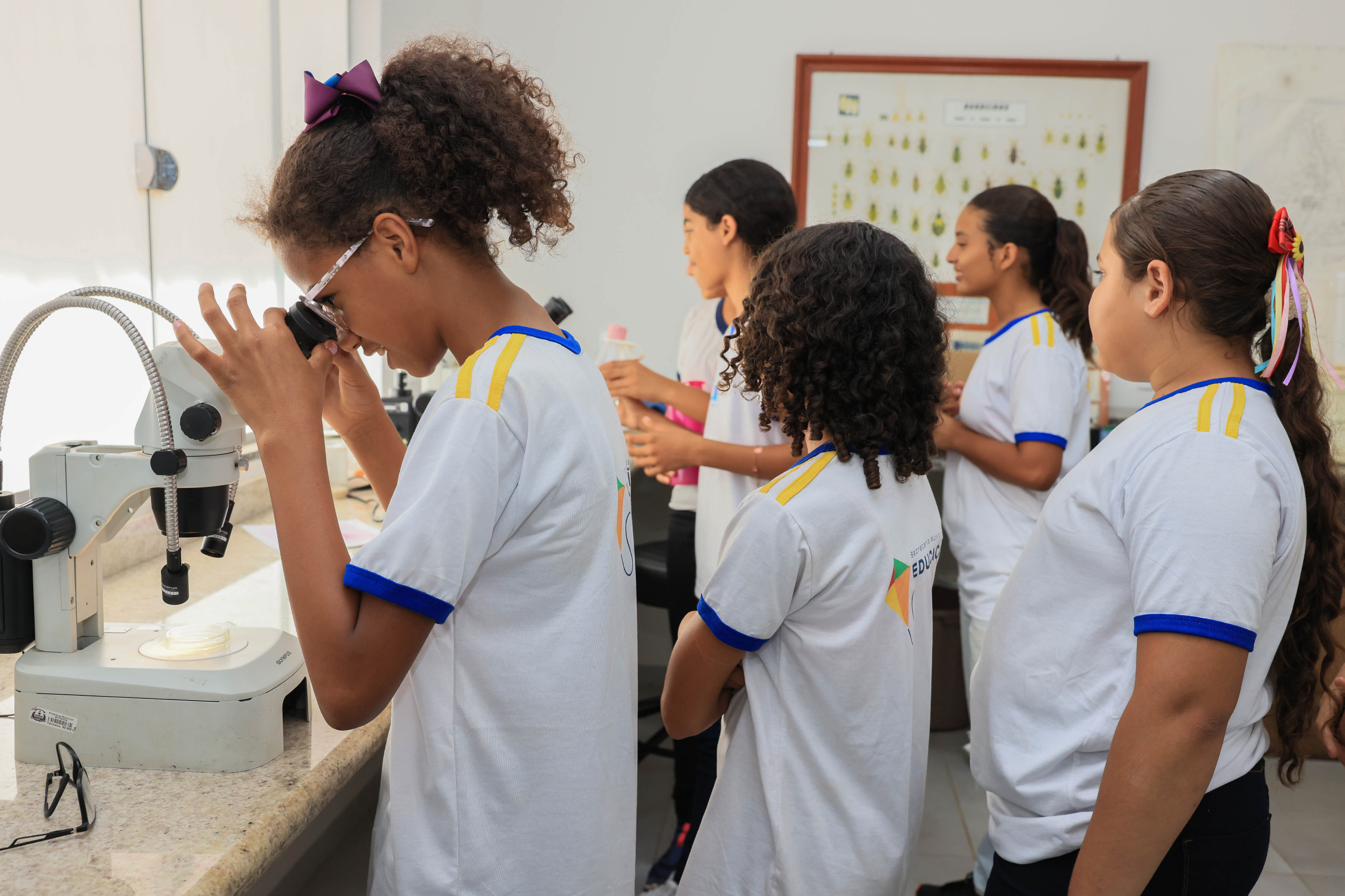 Alunos puderam utilizar laboratório da UVCZ para conhecer em detalhes transmissores de zoonoses