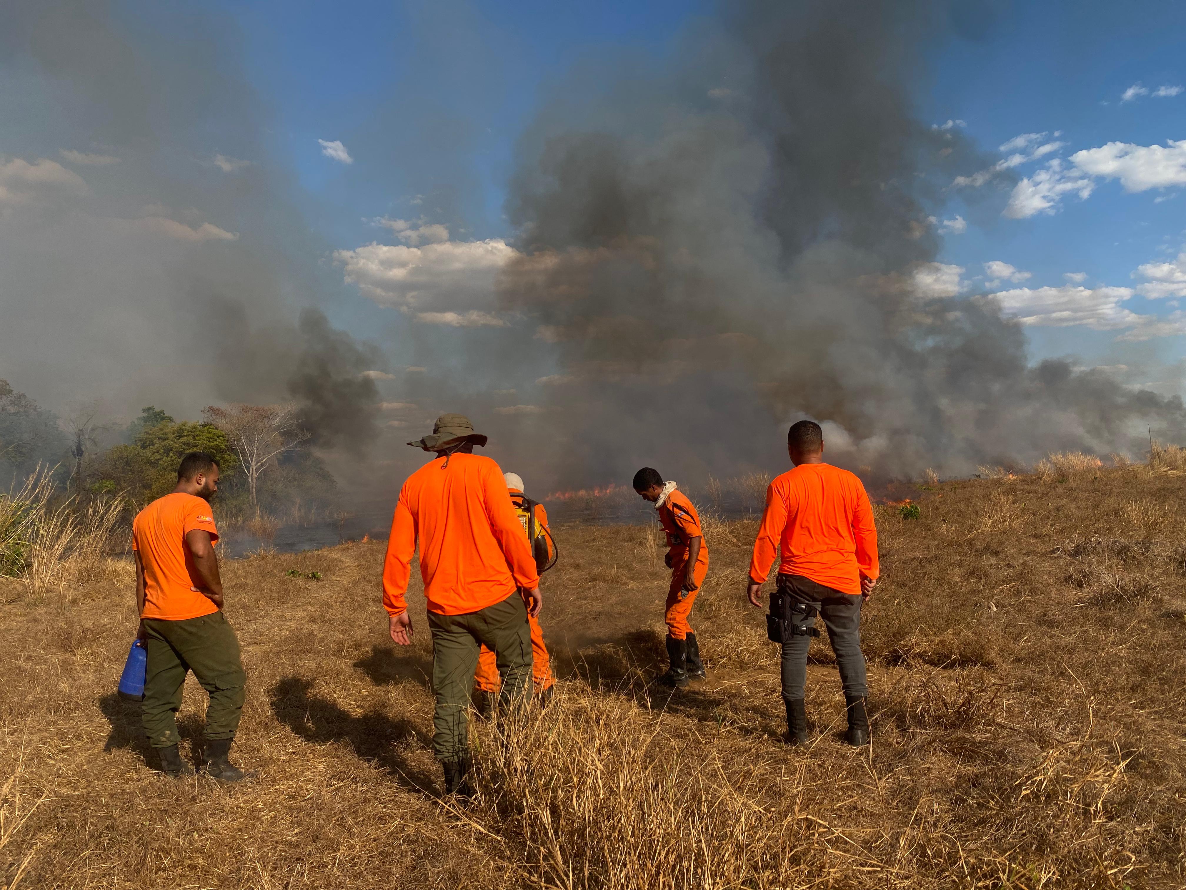 A ação contou com a atuação de 13 brigadistas e três viaturas de combate a incêndios