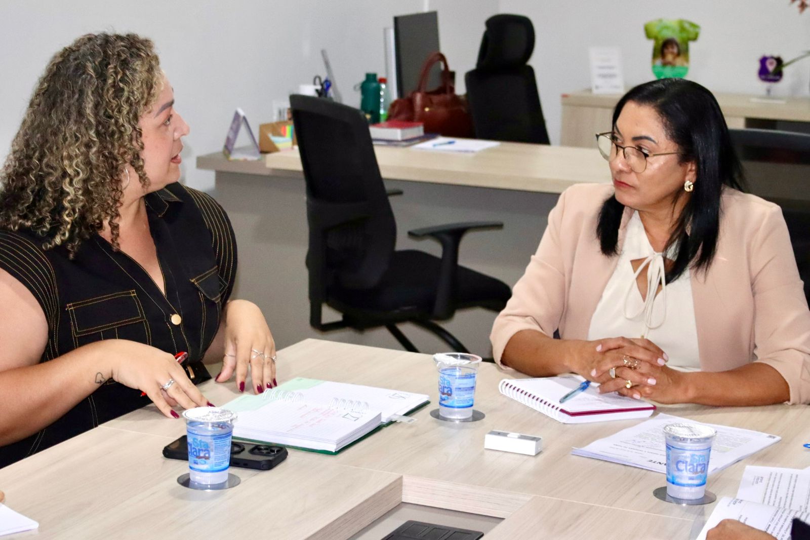 Secretaria da Mulher de Palmas realiza visita ao Estado e fortalece parceria em políticas públicas