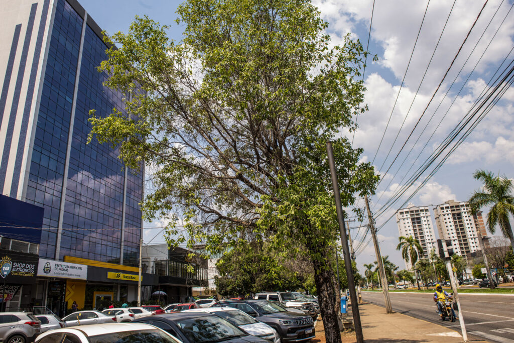 Primeira parcela ou parcela única (à vista) do IPTU 2025 deve ser paga até o dia 17 de março