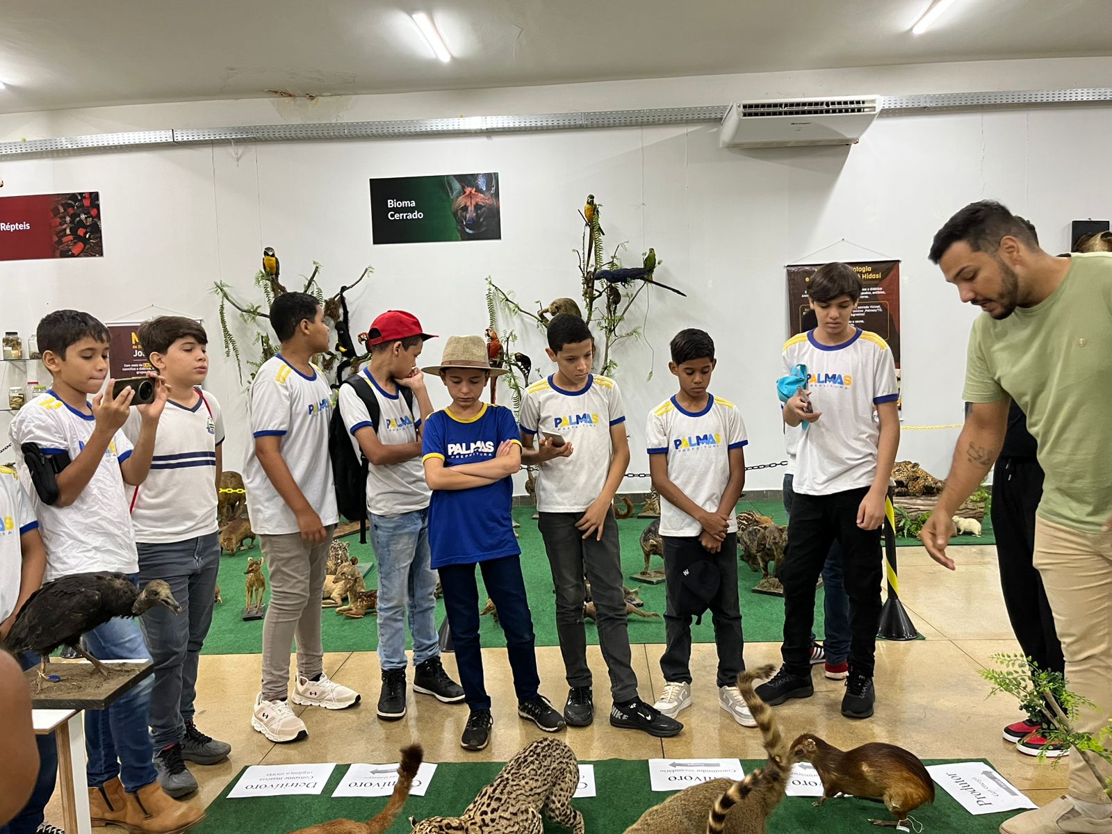 Estudantes da rede municipal de Palmas participam de visita educativa ao Museu de Animais Taxidermizados da Unitins