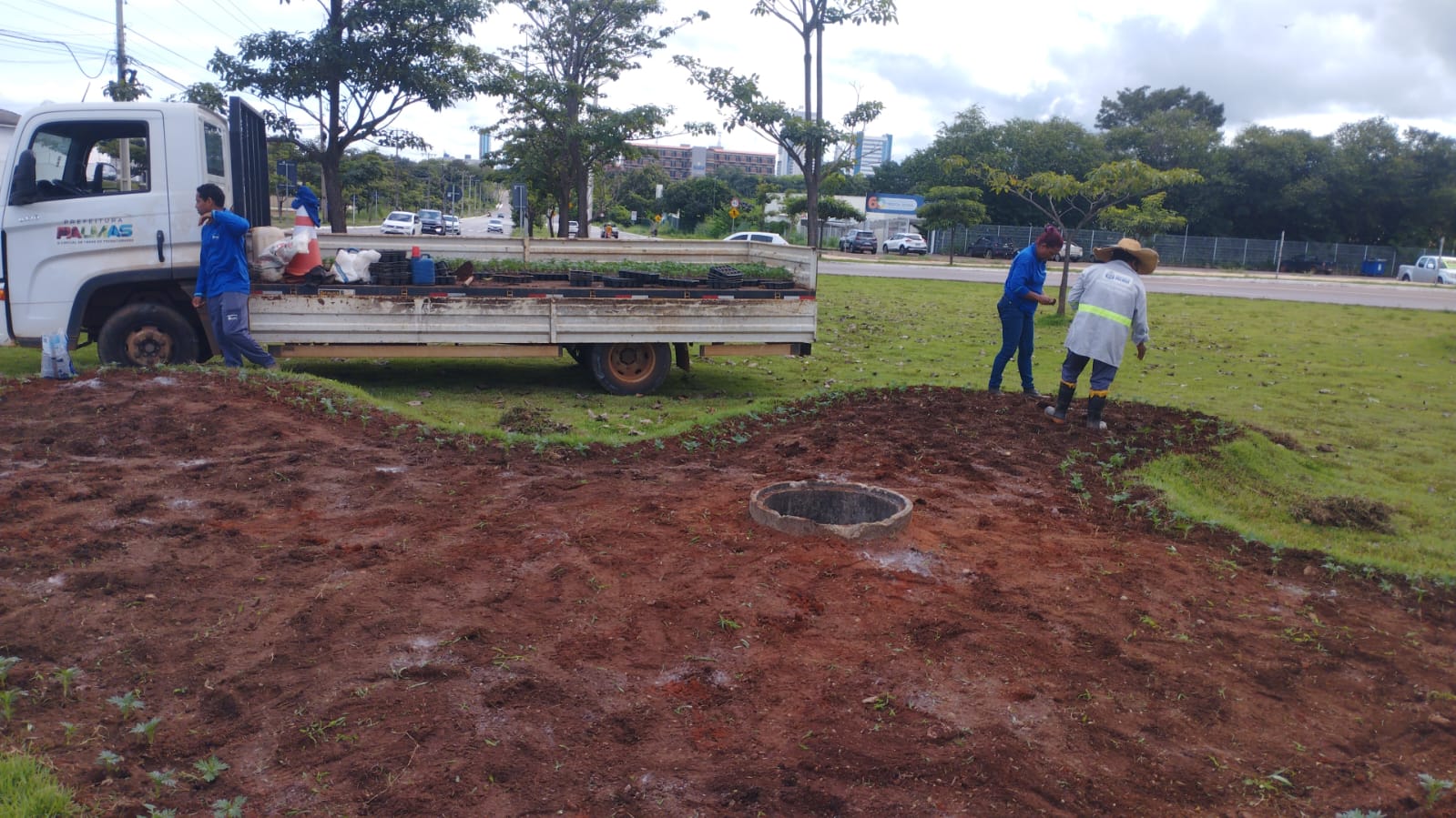 Plantio de mudas na rotatória da LO-09