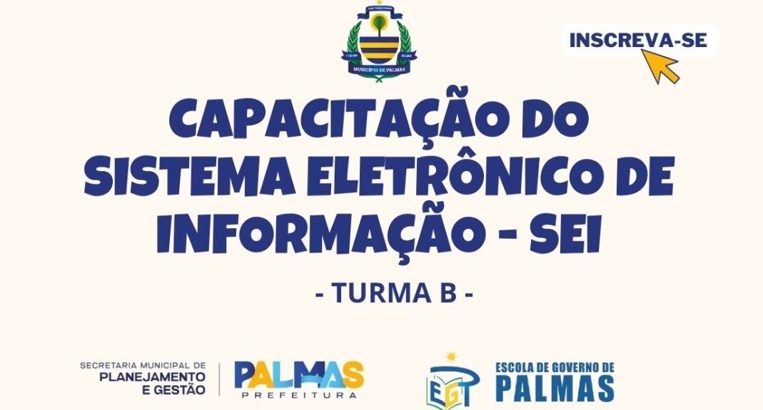 Escola de Governo de Palmas abre inscrições para curso sobre o Sistema Eletrônico de Informações