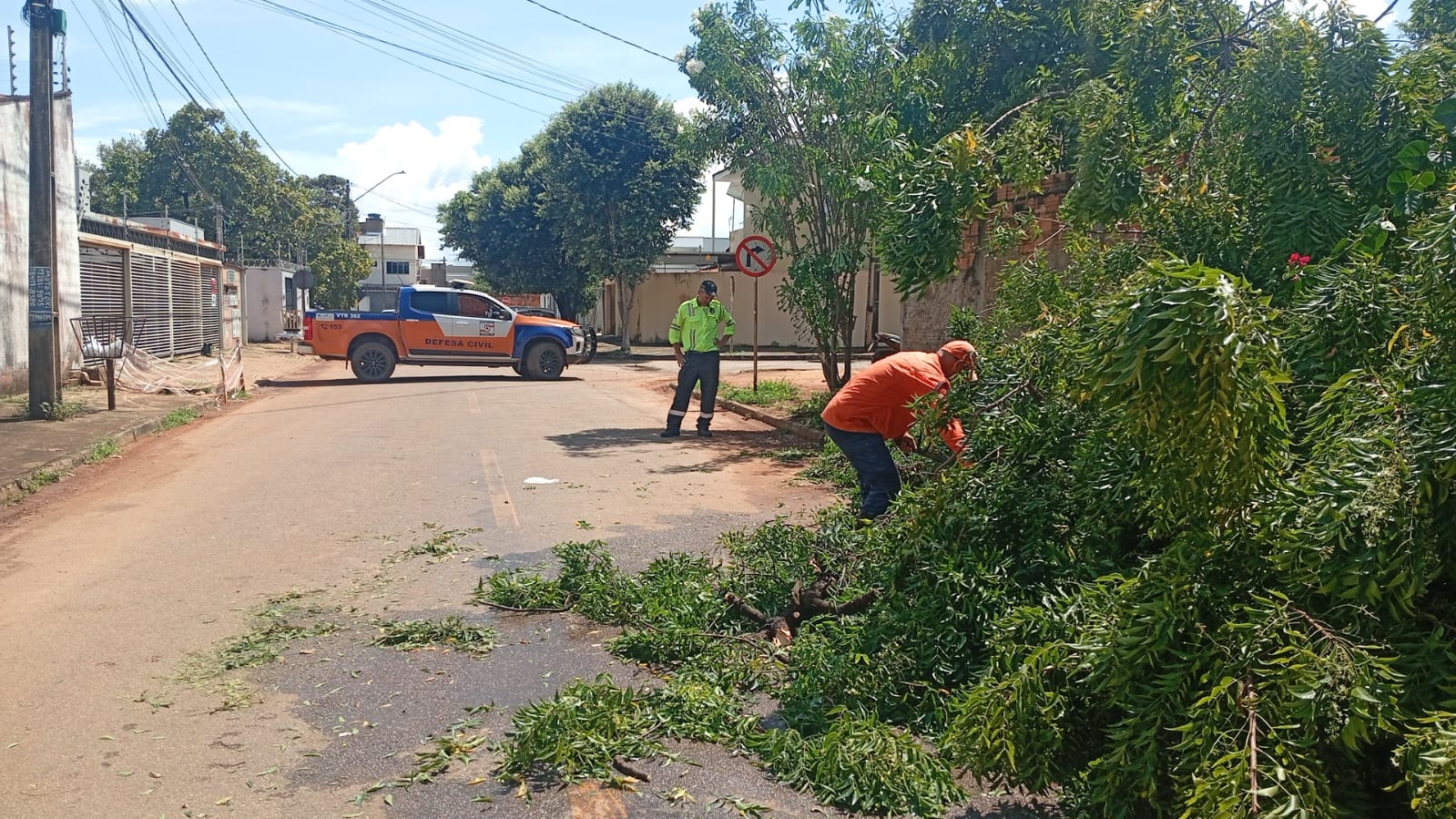 Chuva intensa derruba árvores e mobiliza Defesa Civil na região norte de Palmas