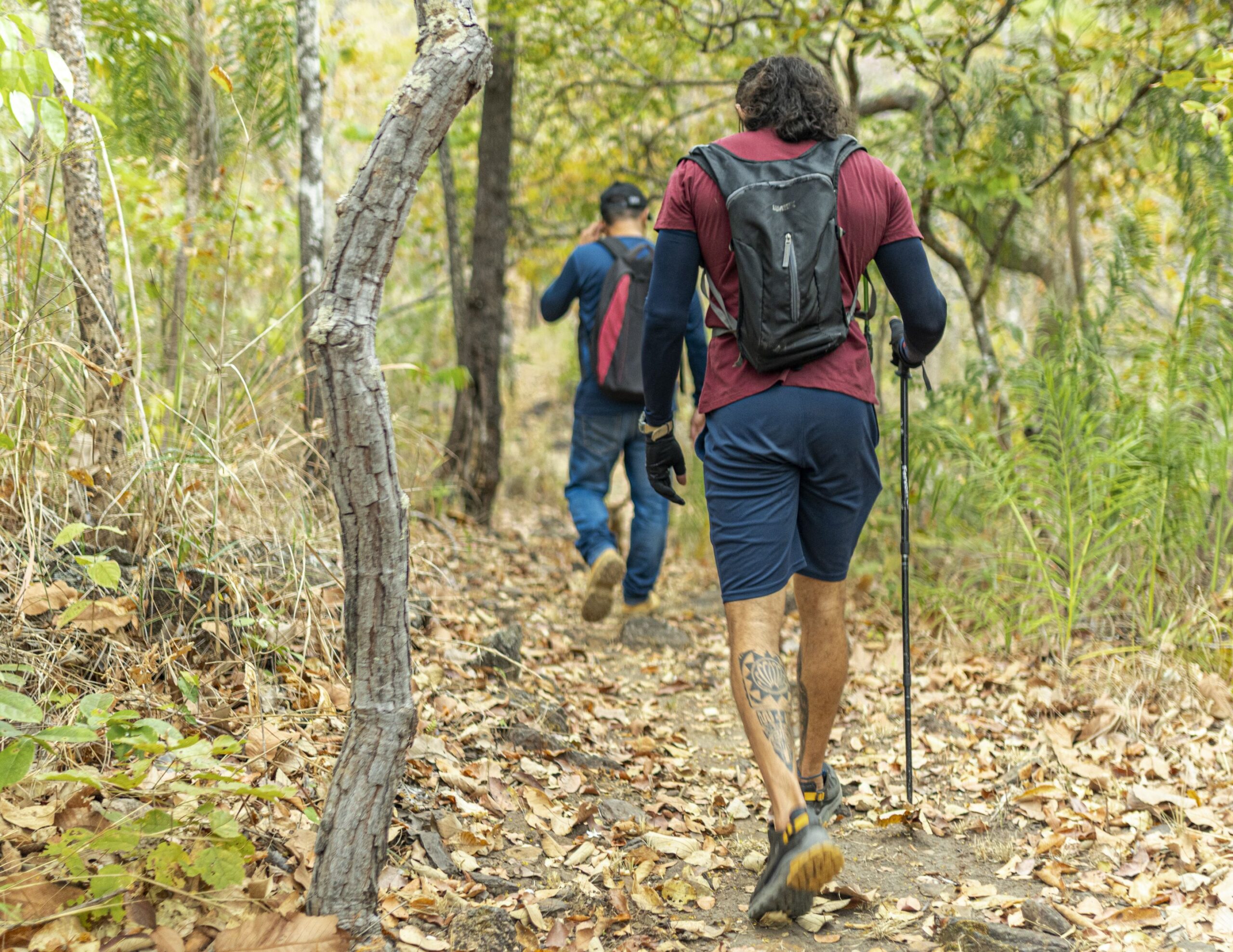 Prefeitura de Palmas reforça importância do cadastro de empresas e profissionais do turismo no Cadastur