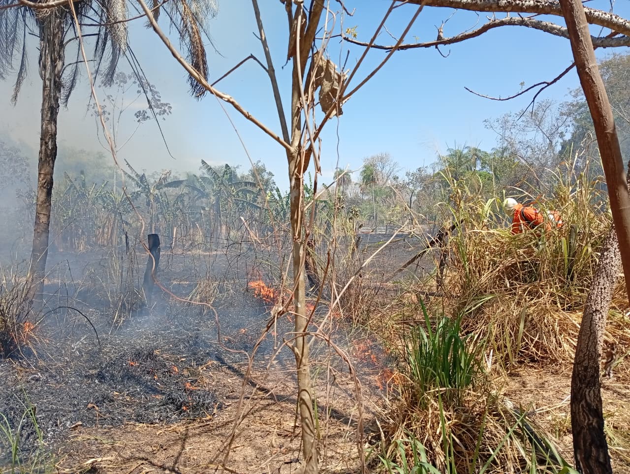 Defesa Civil de Palmas combate incêndio de grandes proporções na Vila Agrotins