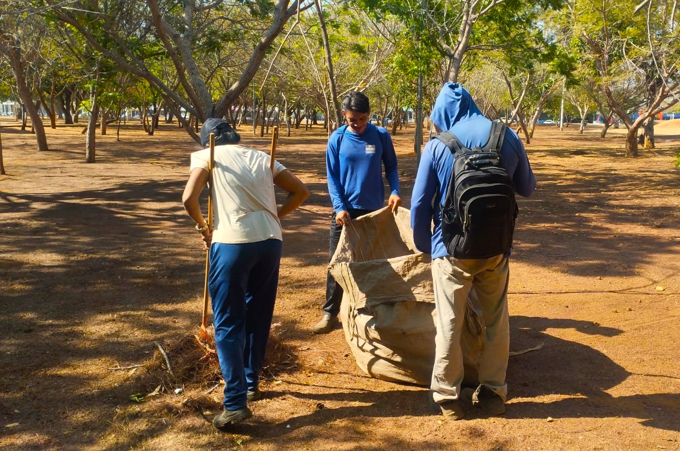 Prefeitura de Palmas intensifica serviços de limpeza em diferentes regiões da Capital