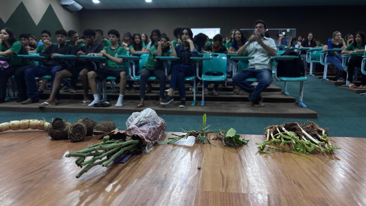 O pesquisador da Embrapa Pesquisador citou como exemplos o cuxá do Maranhão, a ora pro nobis de Minas Gerais, o jambu da Amazônia, dentre outras