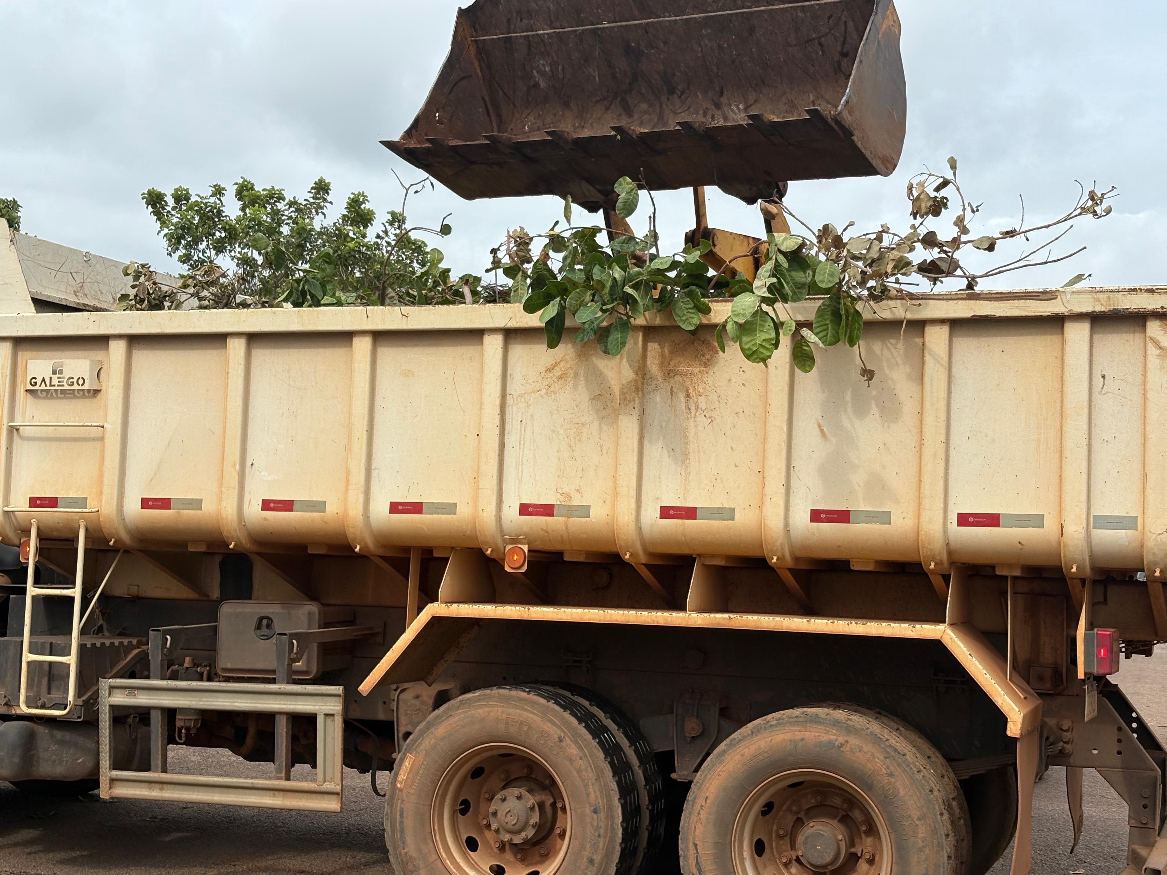 Equipes da Secretaria Municipal de Zeladoria Urbana trabalham na retirada de galhos e árvores caídas no setor Taquari