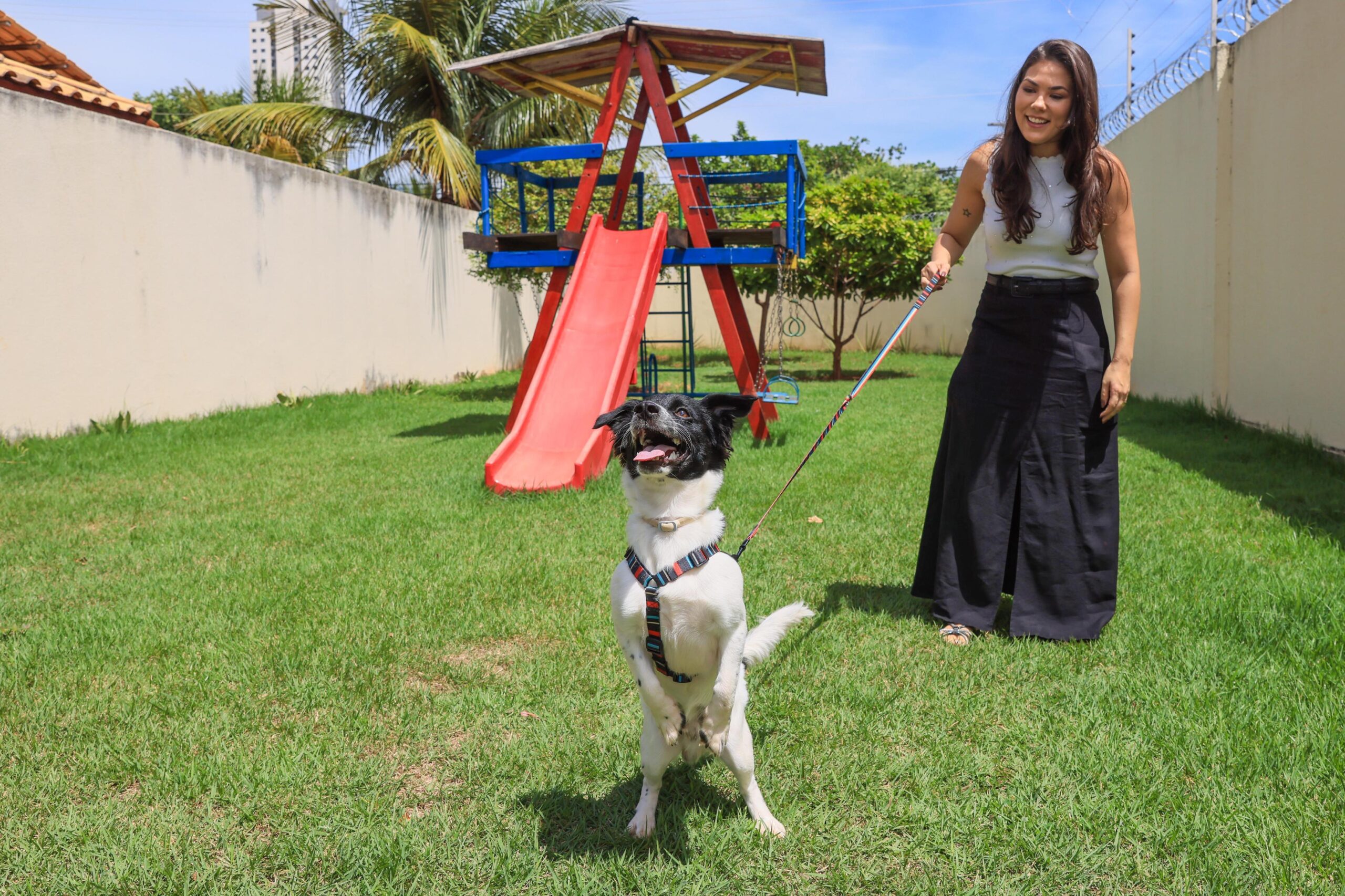 Da política pública ao afeto: ações municipais transformam a vida de animais e famílias em Palmas