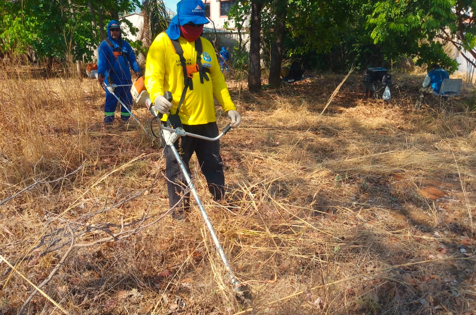 Nesta quinta-feira, 9, foi iniciado o serviço de roçagem na quadra Arso 62 (605 Sul)