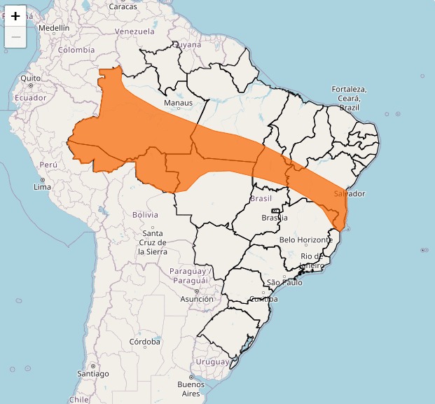 Sob 'alerta laranja' Defesa Civil de Palmas orienta moradores