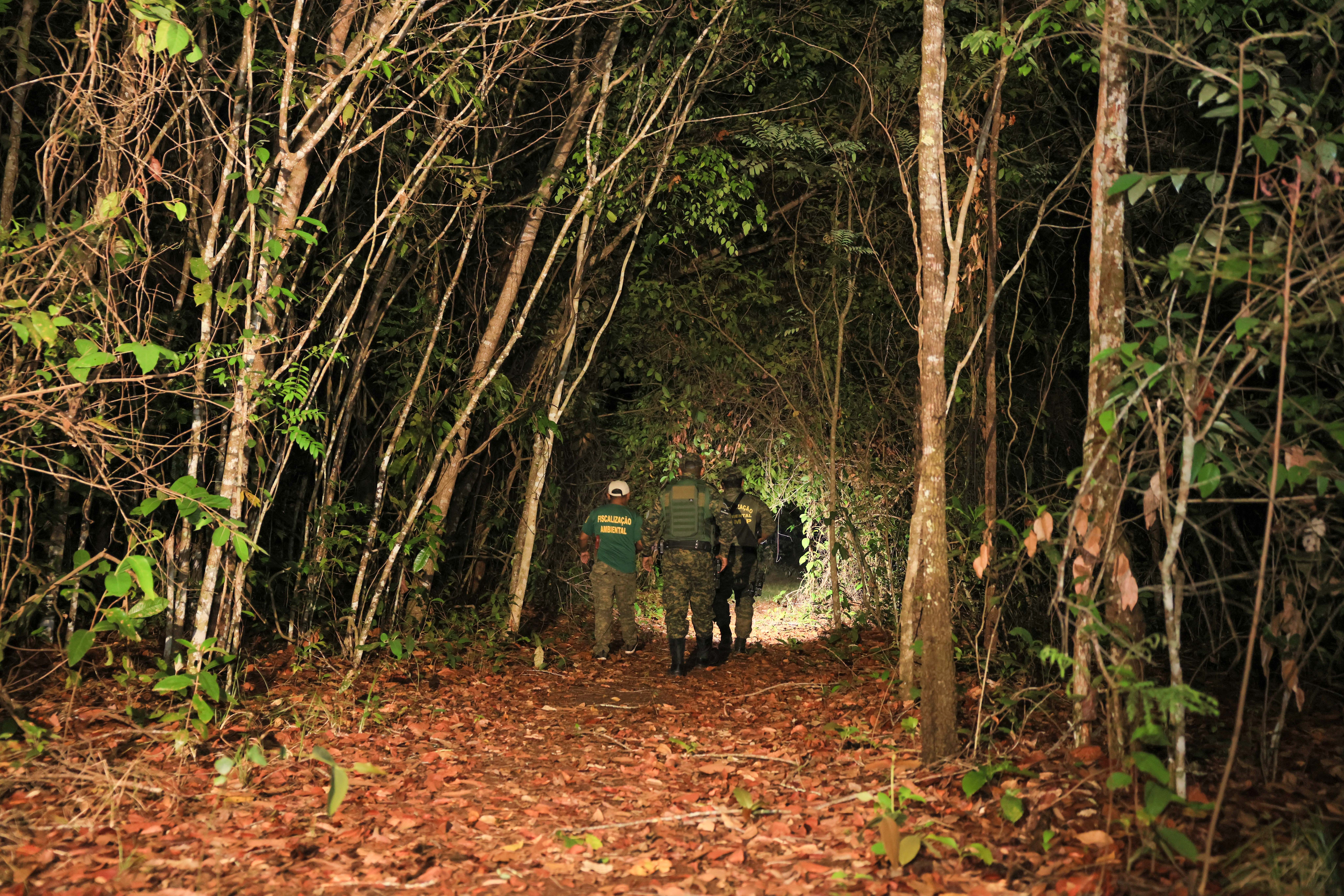 Os agentes ambientais realizaram incursões dentro da mata. Foto: Junior Suzuki