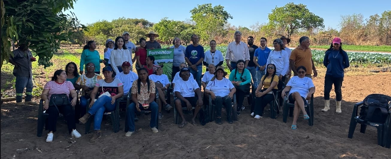 Ao todo cinco hortas comunitárias receberão a oficina  pelo Instituto Brasil Digital. Foto: Seasi /Divulgação