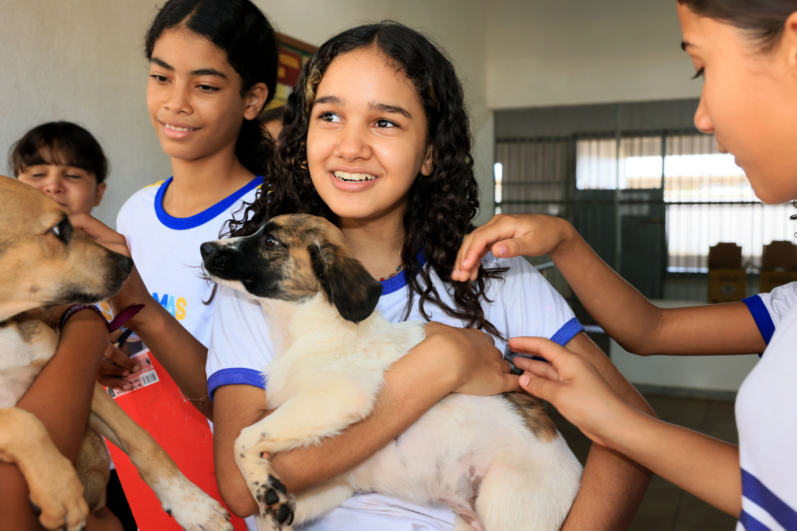 Sara Isabele Coelho, de 11 anos, contou que se encantou pela cadela Lilica e pretende pedir aos pais para adotá-la