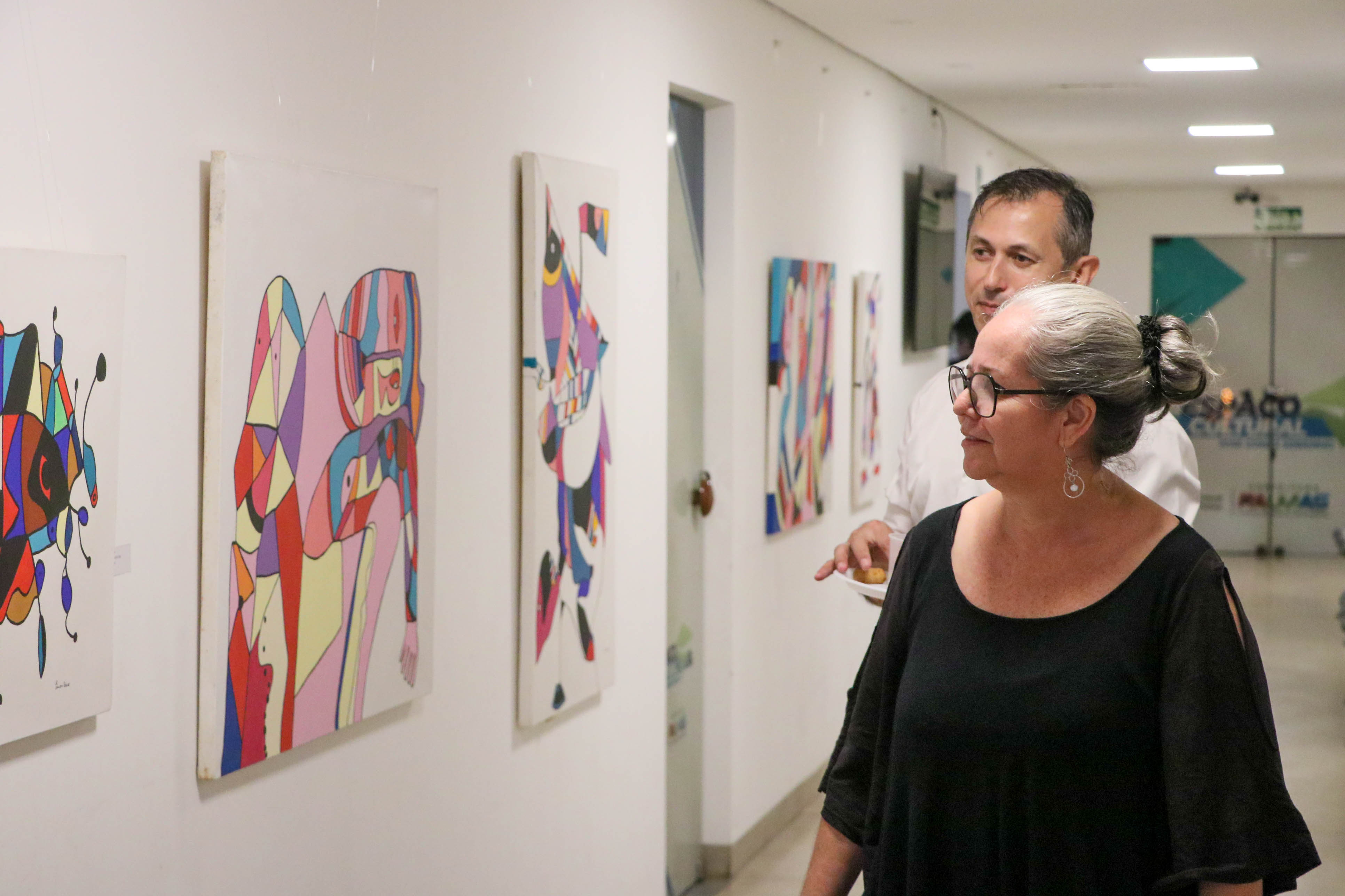 Ao todo, a exposição é composta por 18 telas que focam, essencialmente, no abstracionismo geométrico e reverenciam elementos do Tocantins