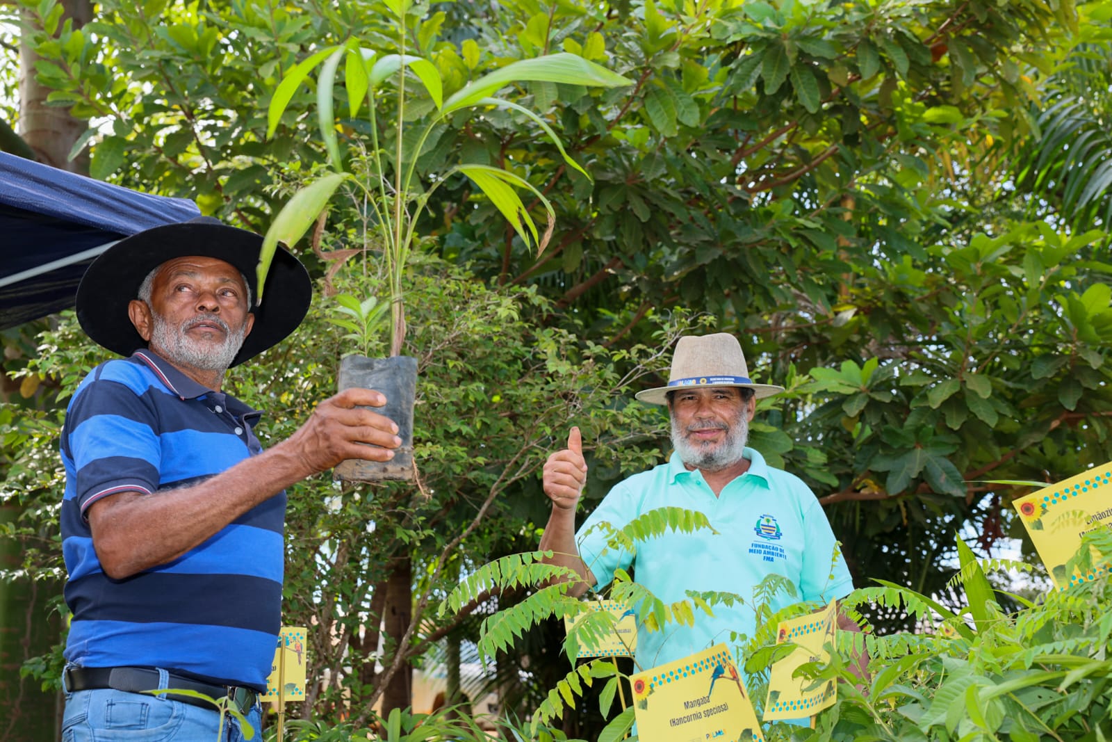 Fundação de Meio Ambiente realiza doação de mudas e dinâmica sobre coleta seletiva na Agrotins 2025