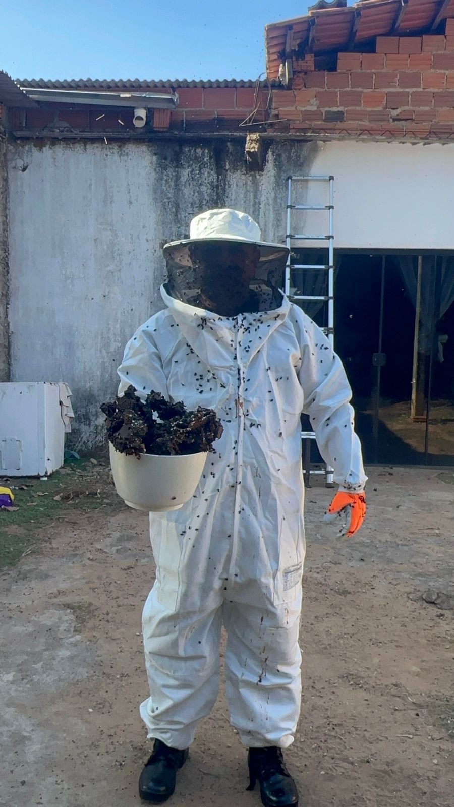Guarda Ambiental  faz retirada de colméia de abelhas em uma residência  na zona rural de Palmas