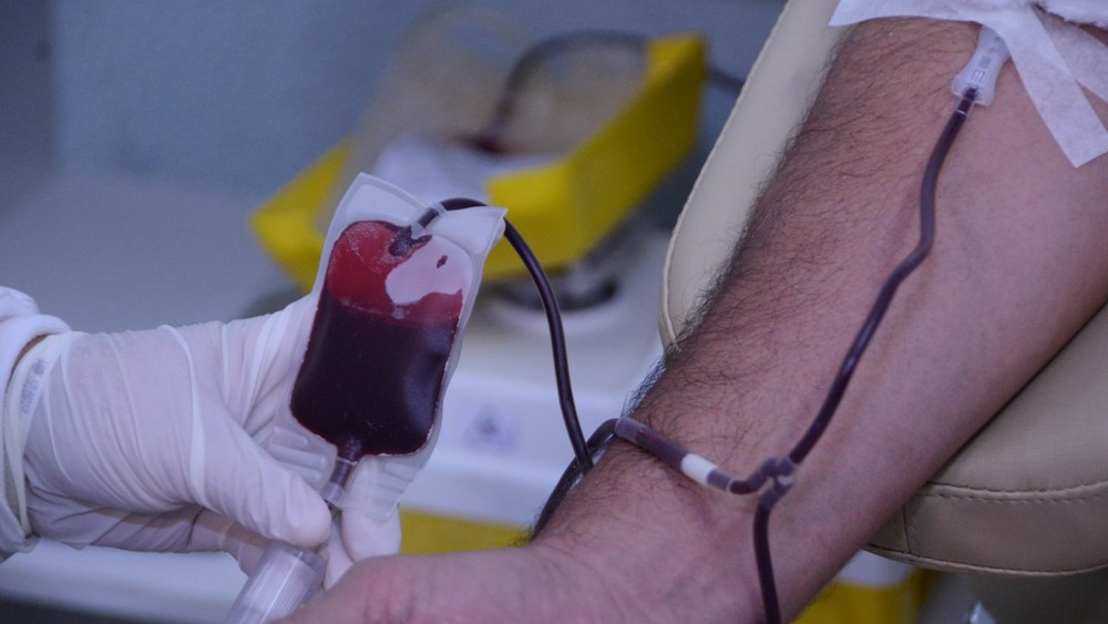 Publicada lei que institui Dia Municipal de Doador de Sangue