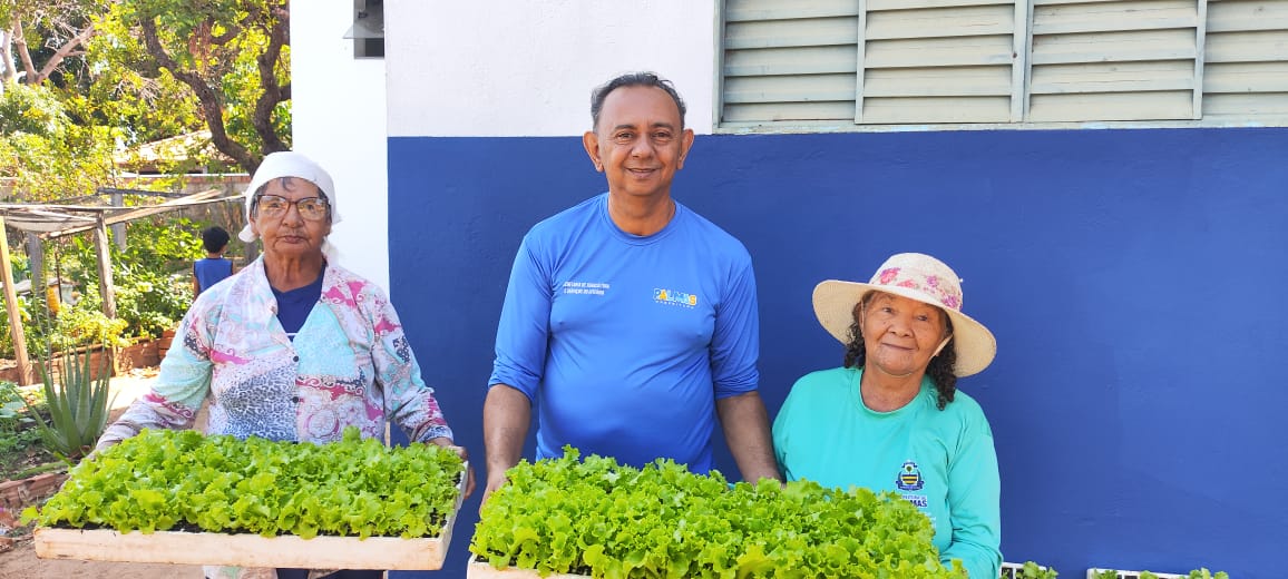 Produtoras da Horta Comunitária da  Arno 43 recebem muda de alfaces da Seasi