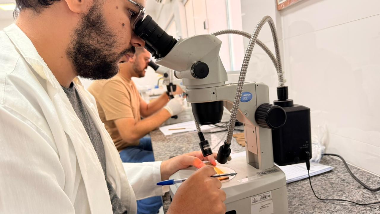 Mais de oito mil ovos do Aedes Aegypti são capturados em Palmas com armadilhas denominadas de ovitrampas