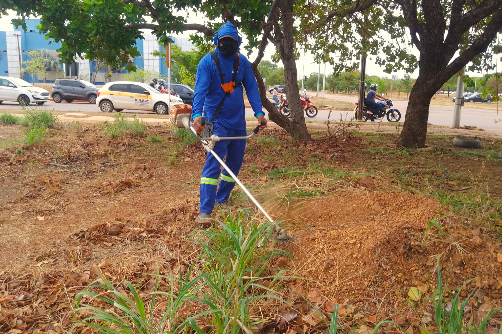 Roçagem realizada na Avenida Siqueira Campos, região norte, em Palmas