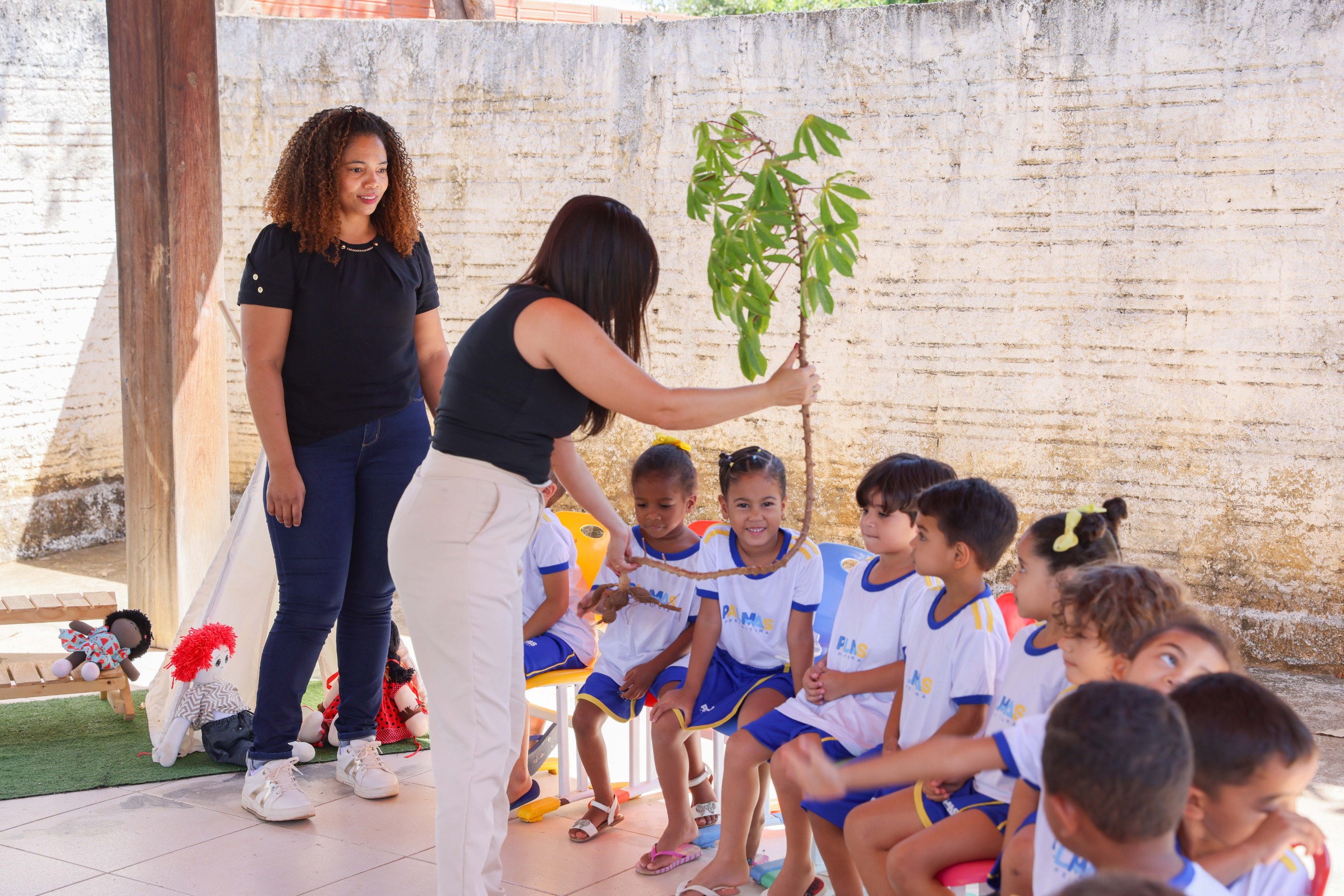 Cmei Paraíso Infantil utilizou a mandioca como fonte de aprendizado em atividade com as turmas da Pré-Escola I