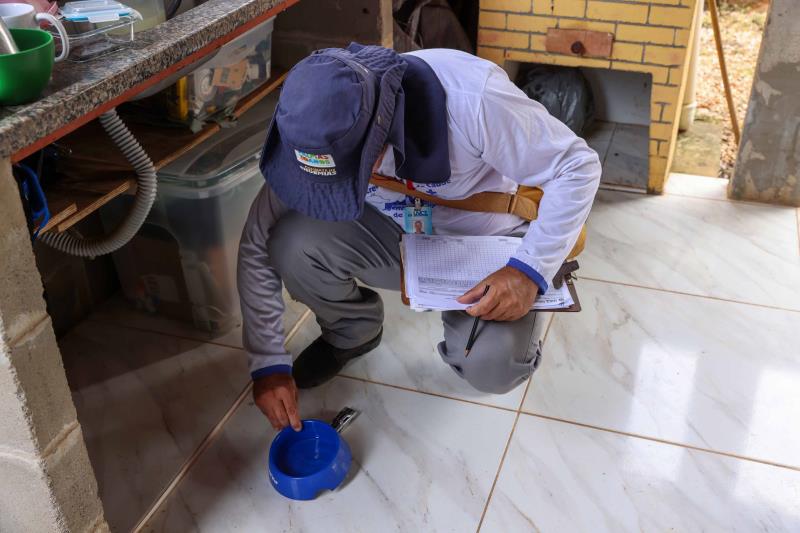 Setor Sol Nascente recebe mutirão contra dengue nesta sexta-feira, 12