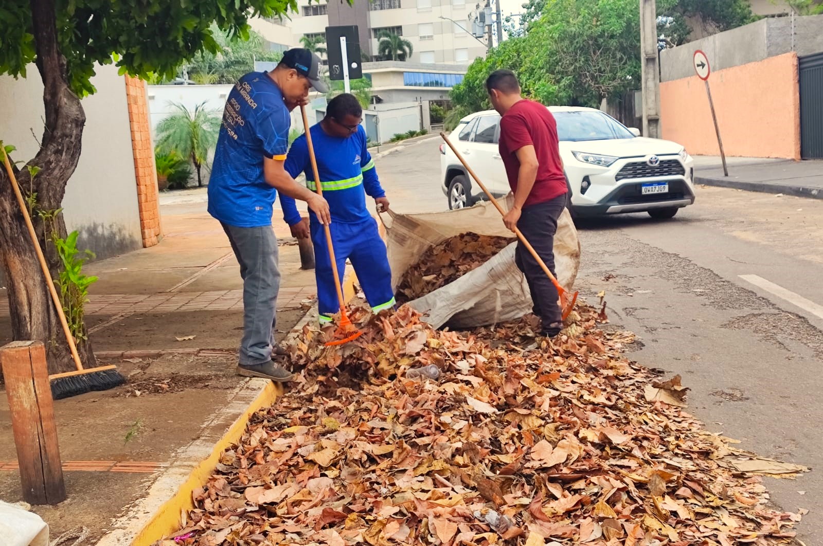 Na ARSE 21 (204 Sul), foi recolhida grande quantidade de folhas após o serviço de rastelagem