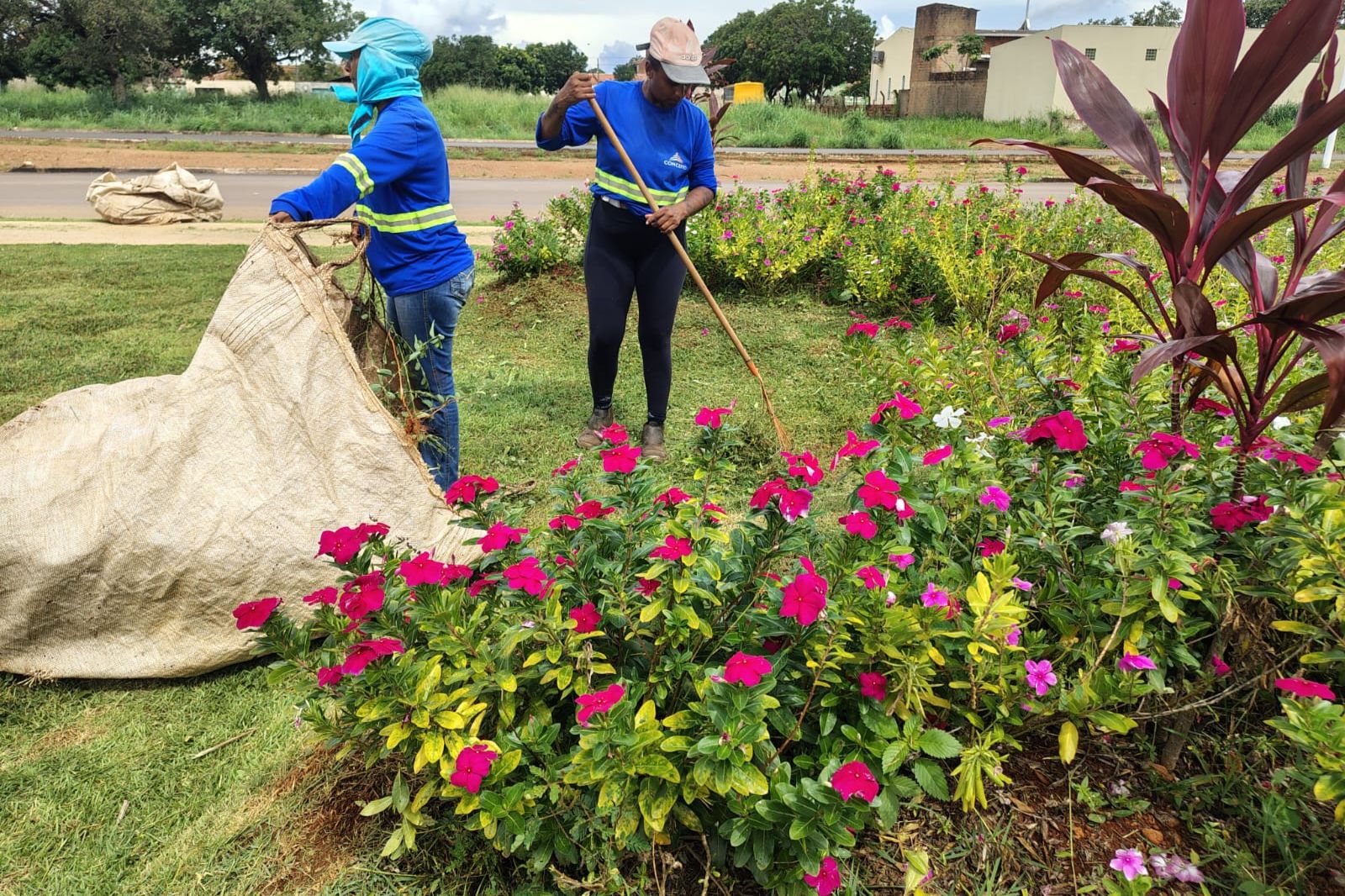Zeladoria Urbana de Palmas divulga cronograma de roçagem e tapa-buraco da semana
