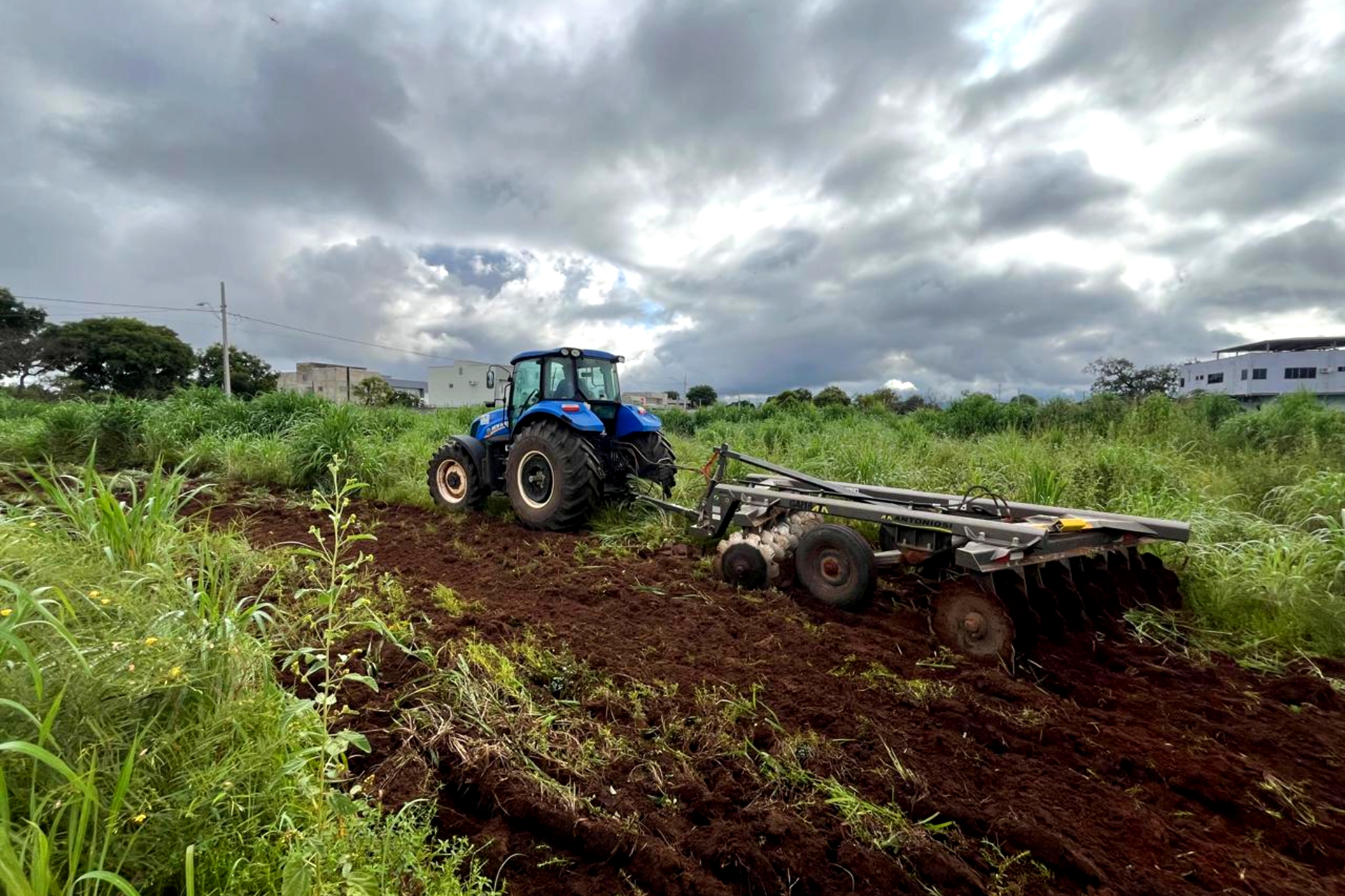 Prefeitura de Palmas realiza controle de vegetação em áreas das Arsos 44 e 45