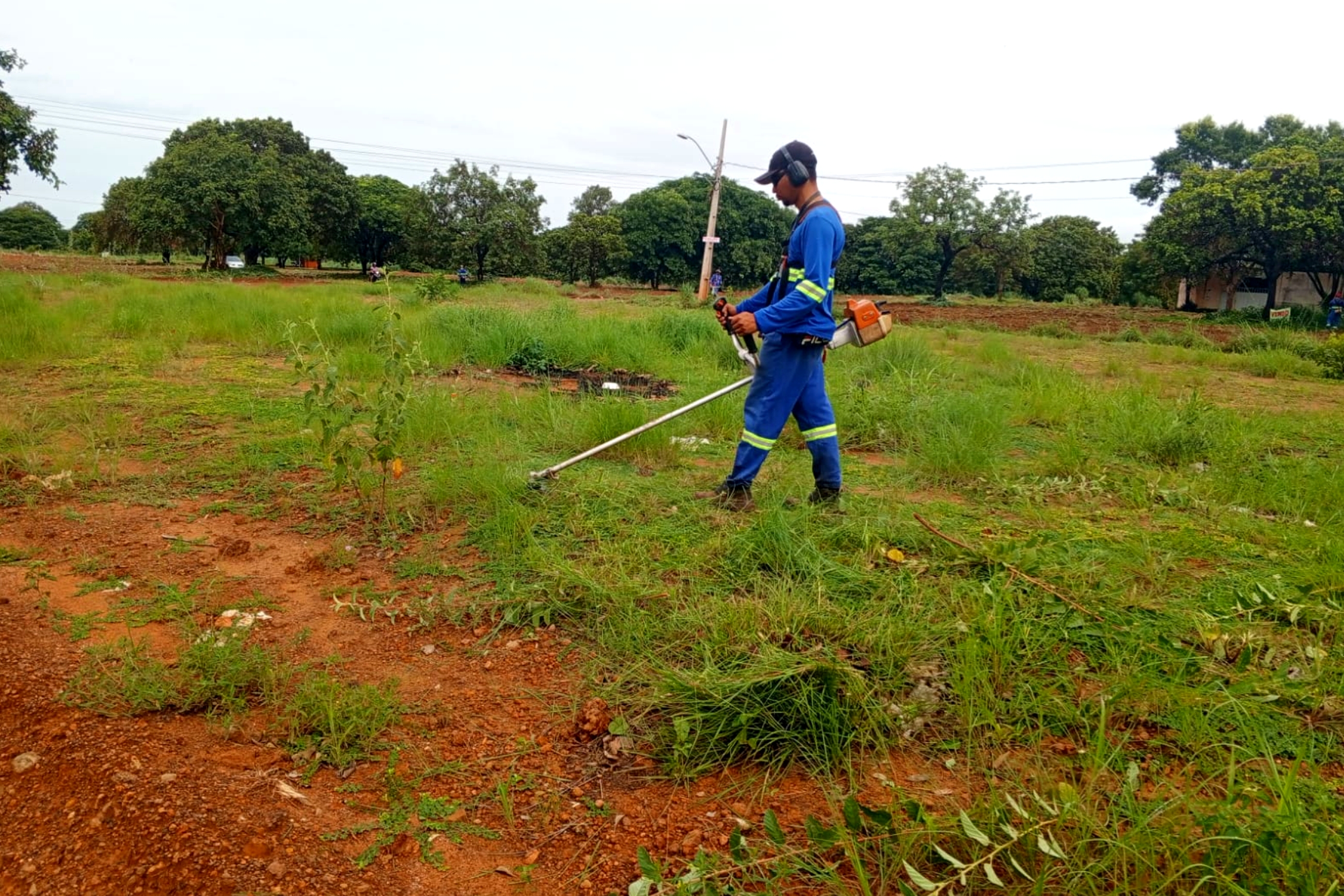 Serviços de roçagem são intensificados na região sul de Palmas