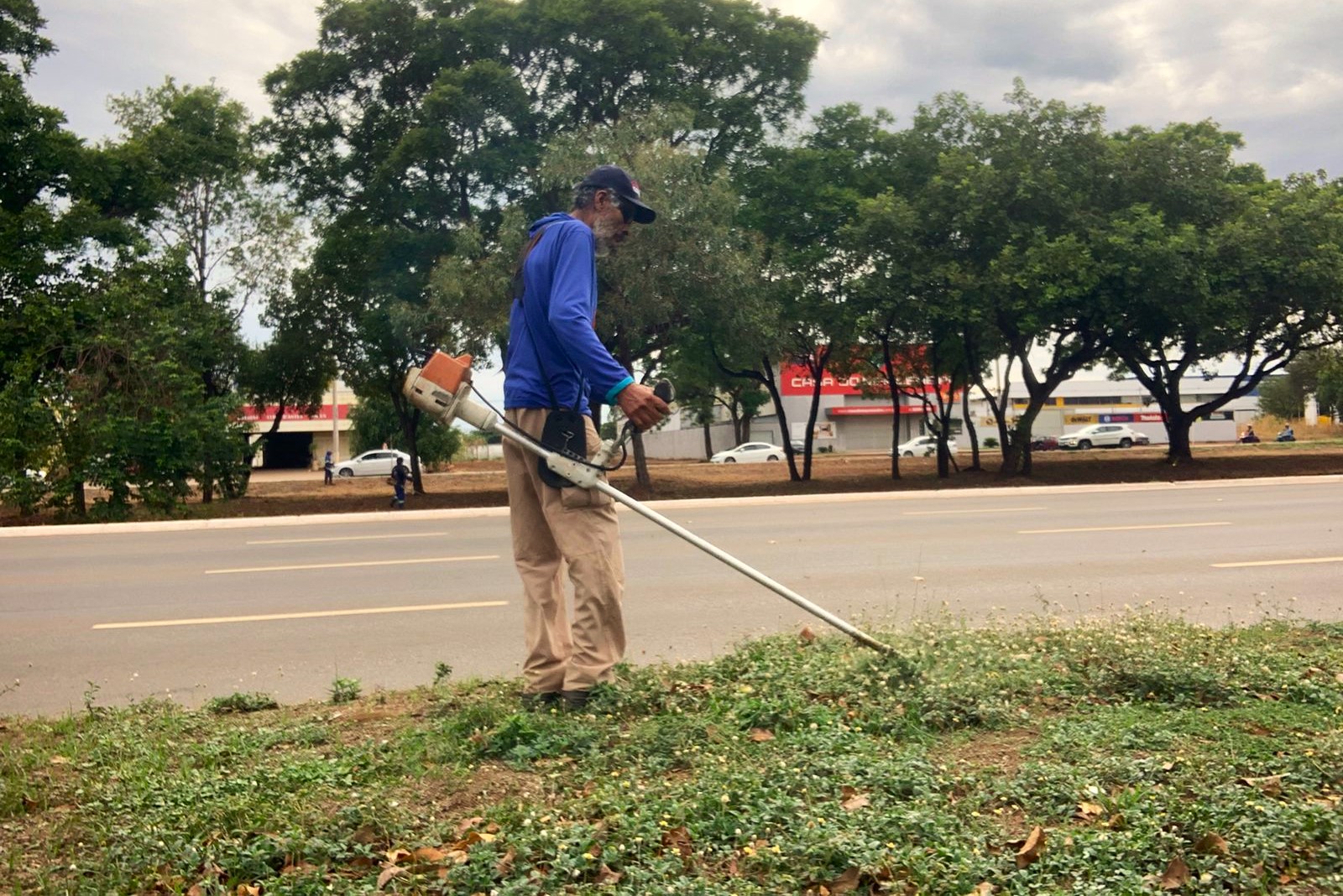 Roçagem realizada no canteiro central da Avenida Siqueira Campos, no Plano Diretor Sul, em Palmas