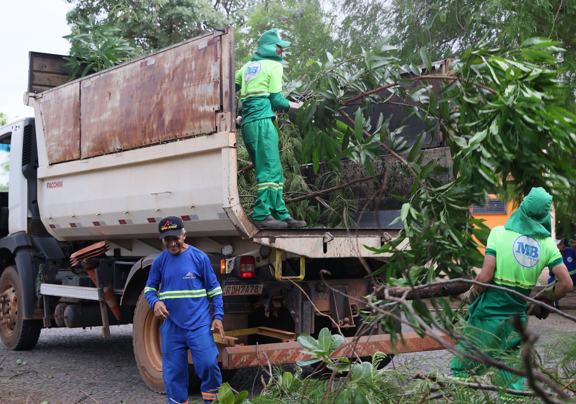 Prefeitura de Palmas pede colaboração da população para organização das podas de árvores