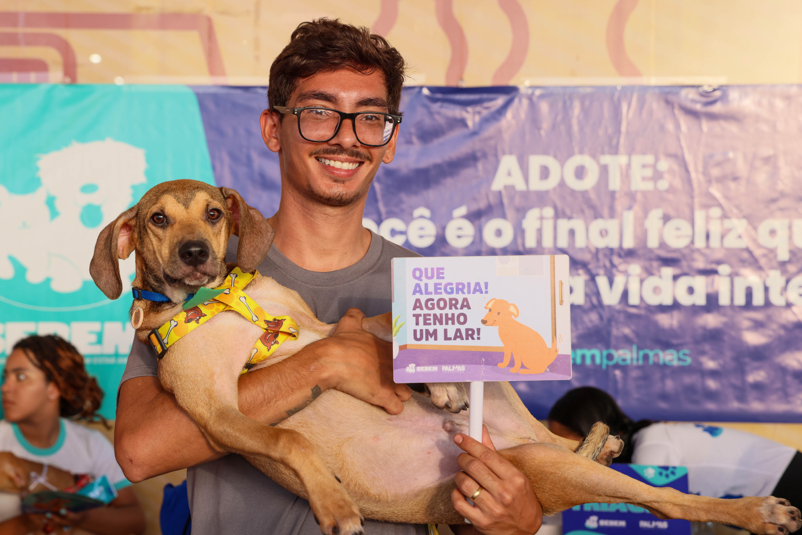 Planejamento da adoção contribui para garantir lares permanentes para cães e gatos